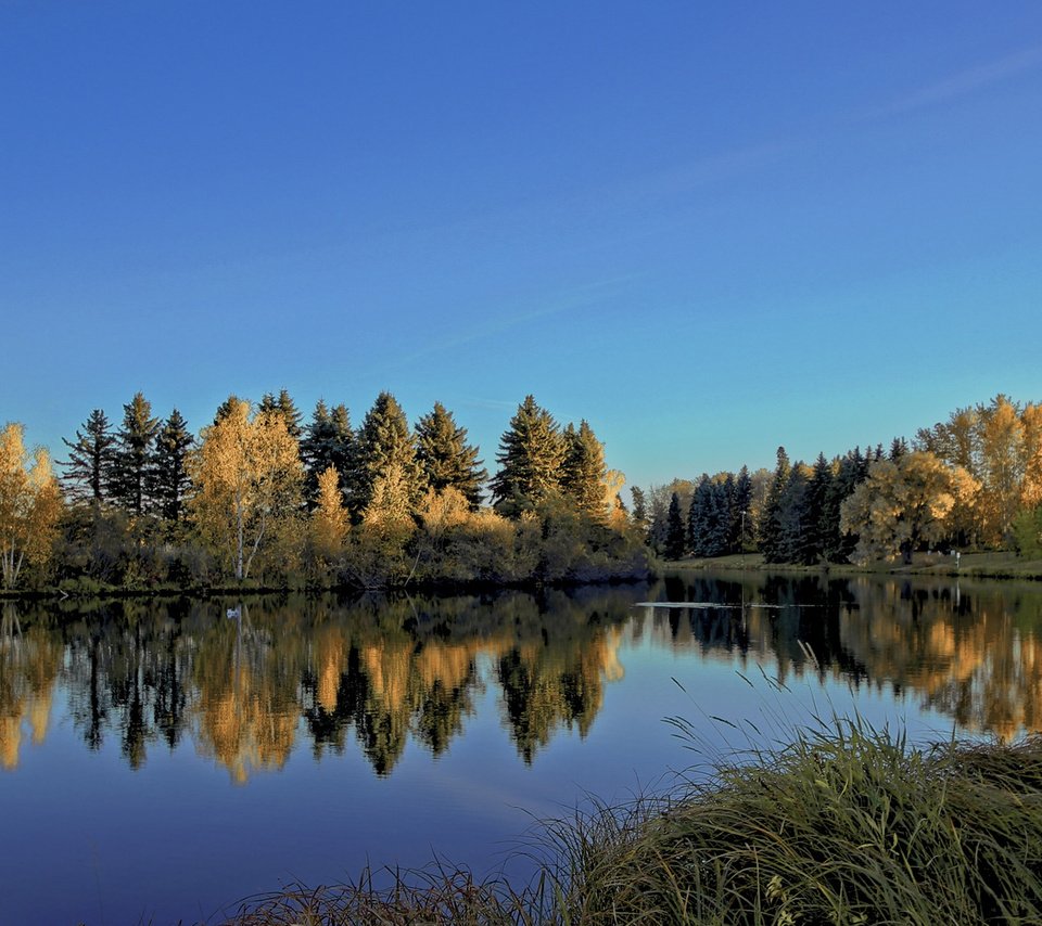 Обои небо, деревья, река, природа, лес, отражение, пейзаж, diego lapetina, the sky, trees, river, nature, forest, reflection, landscape разрешение 1920x1200 Загрузить