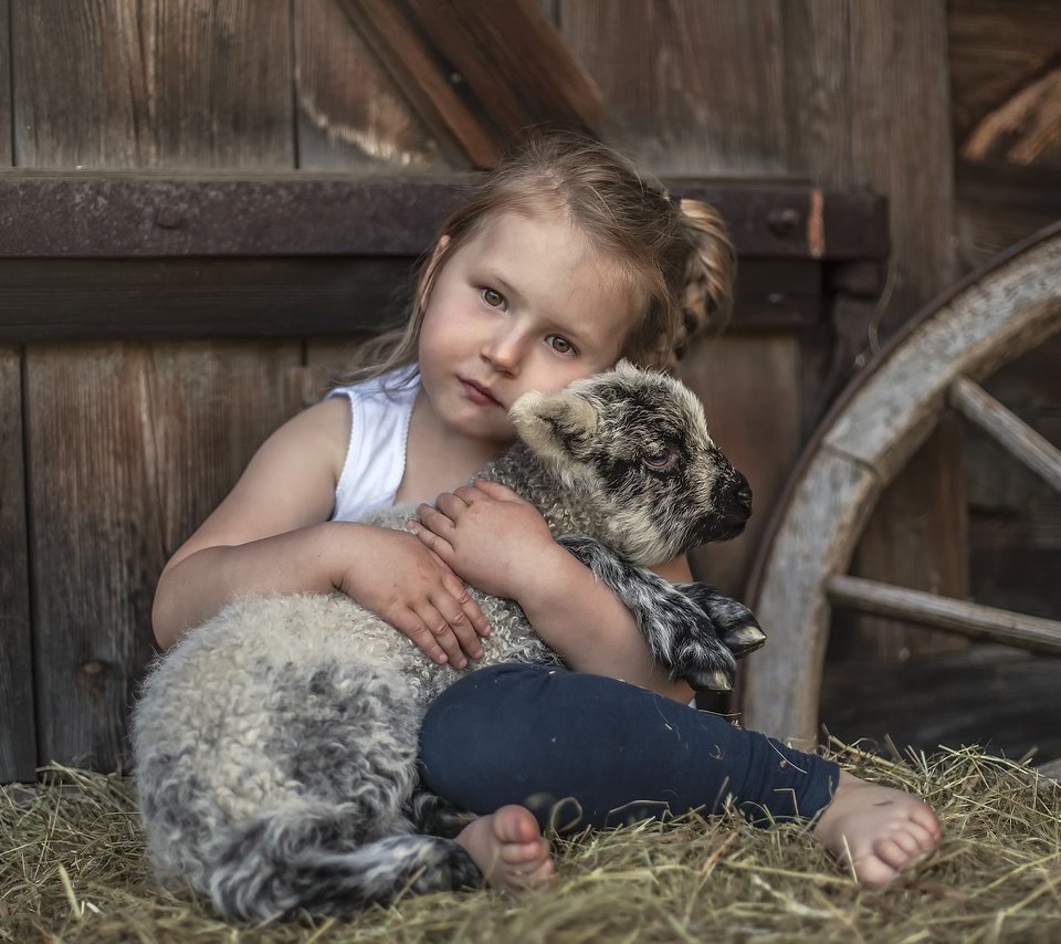 Обои сено, взгляд, дети, девочка, нежность, овечка, овца, hay, look, children, girl, tenderness, sheep разрешение 2560x1707 Загрузить