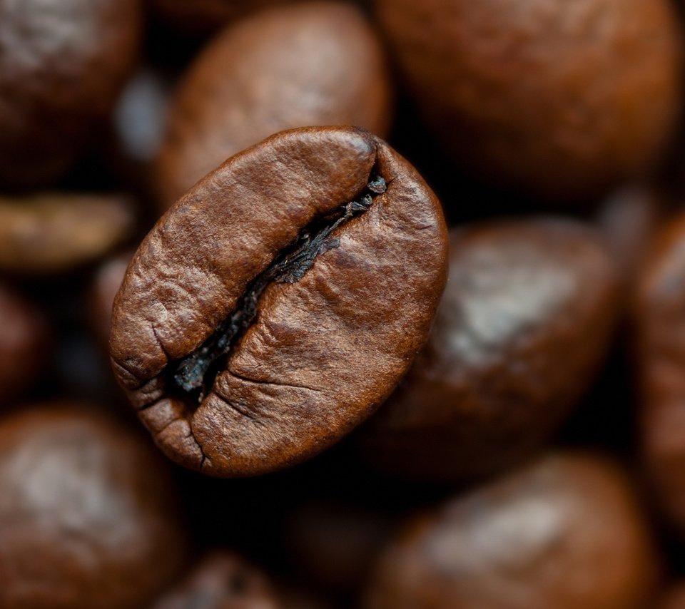 Обои макро, зерна, кофе, кофейные зерна, крупным планом, macro, grain, coffee, coffee beans, closeup разрешение 1920x1200 Загрузить