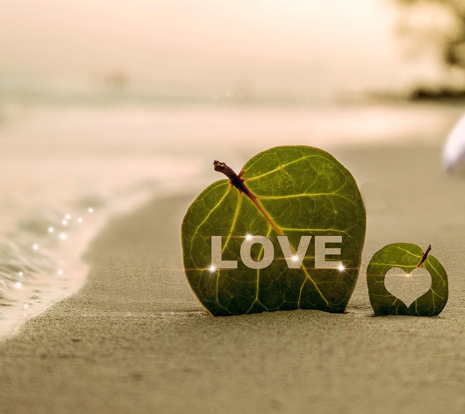 Обои листья, море, песок, пляж, пара, листочек, влюбленная, leaves, sea, sand, beach, pair, leaf, love разрешение 1920x1200 Загрузить