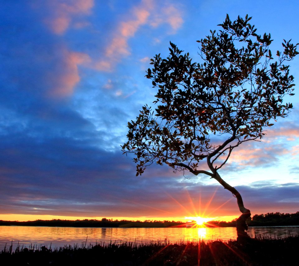 Обои озеро, дерево, закат, 9, lake, tree, sunset разрешение 4641x3094 Загрузить
