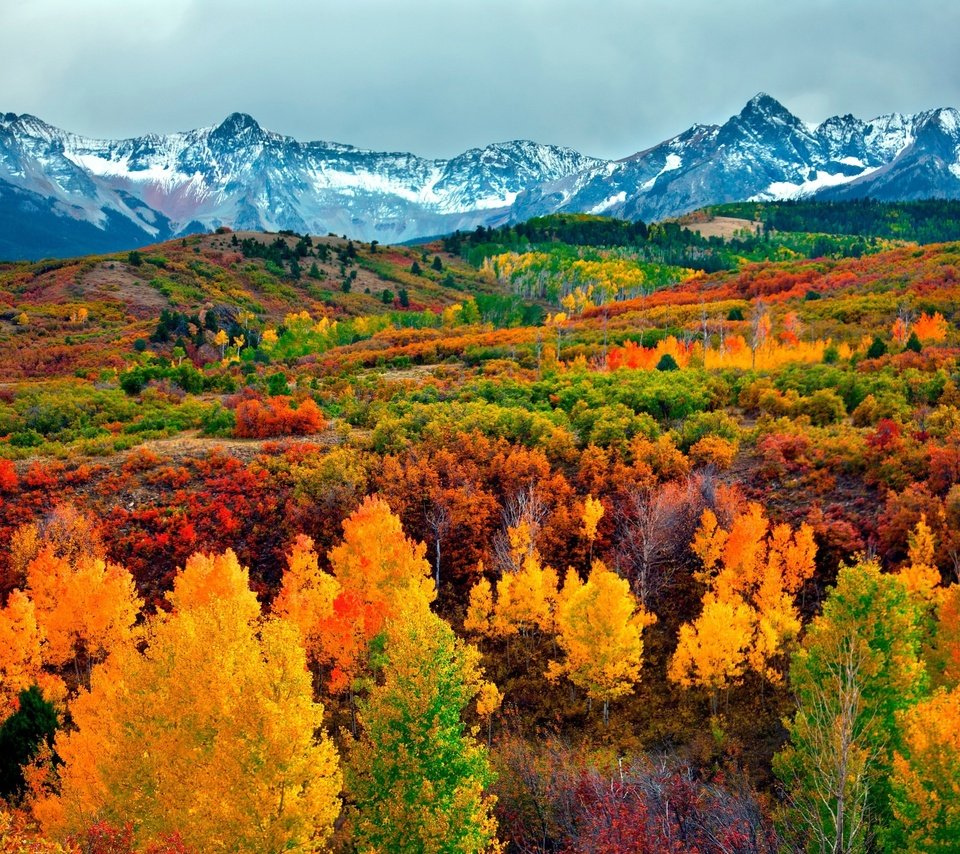 Обои небо, деревья, горы, снег, лес, осень, the sky, trees, mountains, snow, forest, autumn разрешение 3000x2000 Загрузить