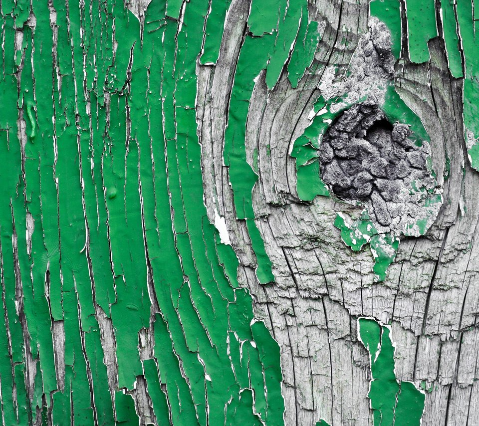 Обои дерево, текстура, зелёный, краска, деревянная поверхность, облупившаяся краска, tree, texture, green, paint, wooden surface разрешение 3456x2304 Загрузить