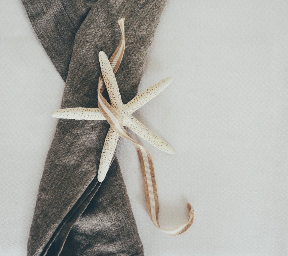 Обои ткань, ленточка, морская звезда, сукно, fabric, ribbon, starfish, cloth разрешение 3855x3084 Загрузить