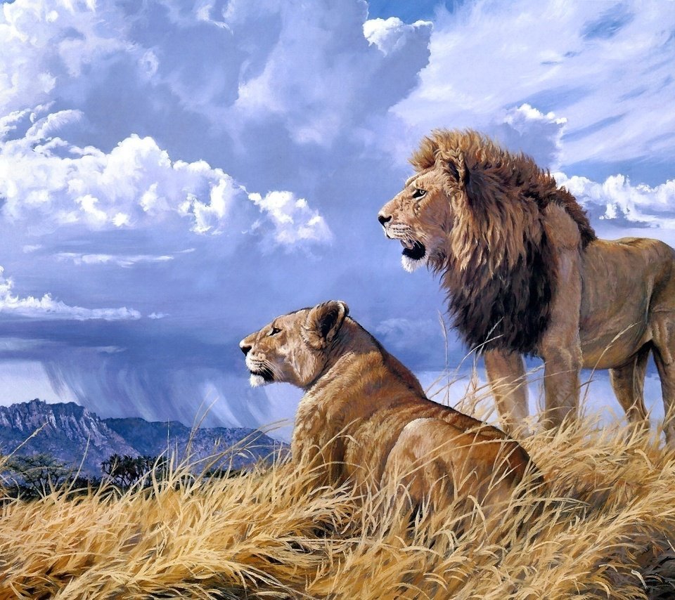 Обои небо, арт, облака, природа, львы, лев, львица, the sky, art, clouds, nature, lions, leo, lioness разрешение 2380x1542 Загрузить