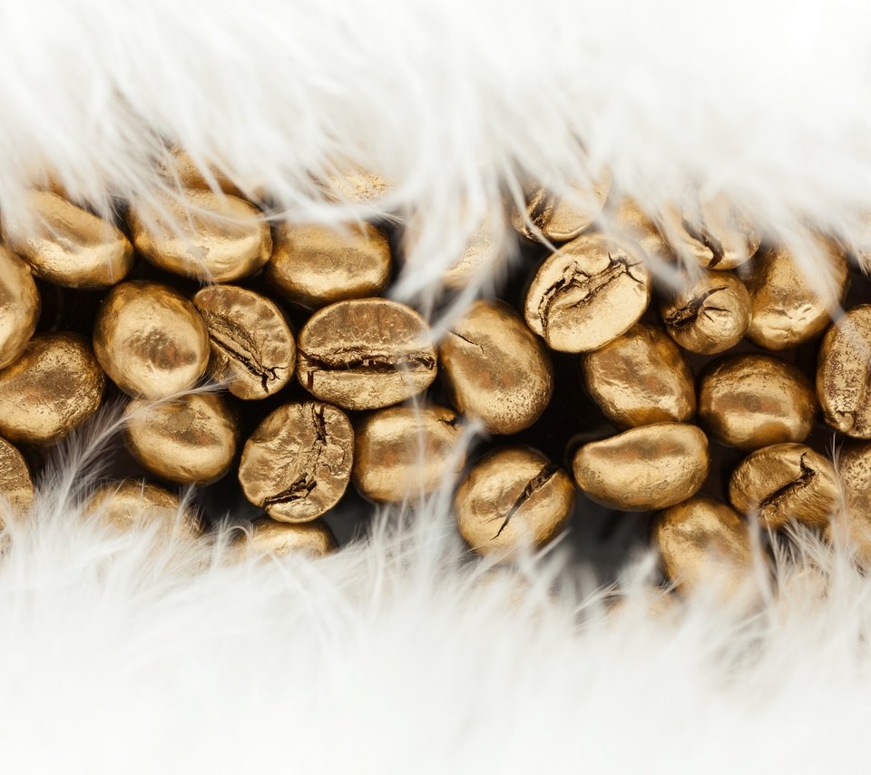 Обои текстура, кофе, перья, золото, кофейные зерна, texture, coffee, feathers, gold, coffee beans разрешение 4000x2637 Загрузить