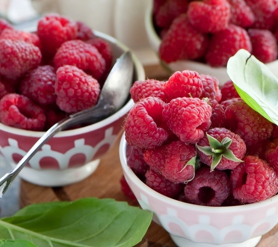 Обои малина, ягоды, ложка, пиала, raspberry, berries, spoon, bowl разрешение 1920x1200 Загрузить