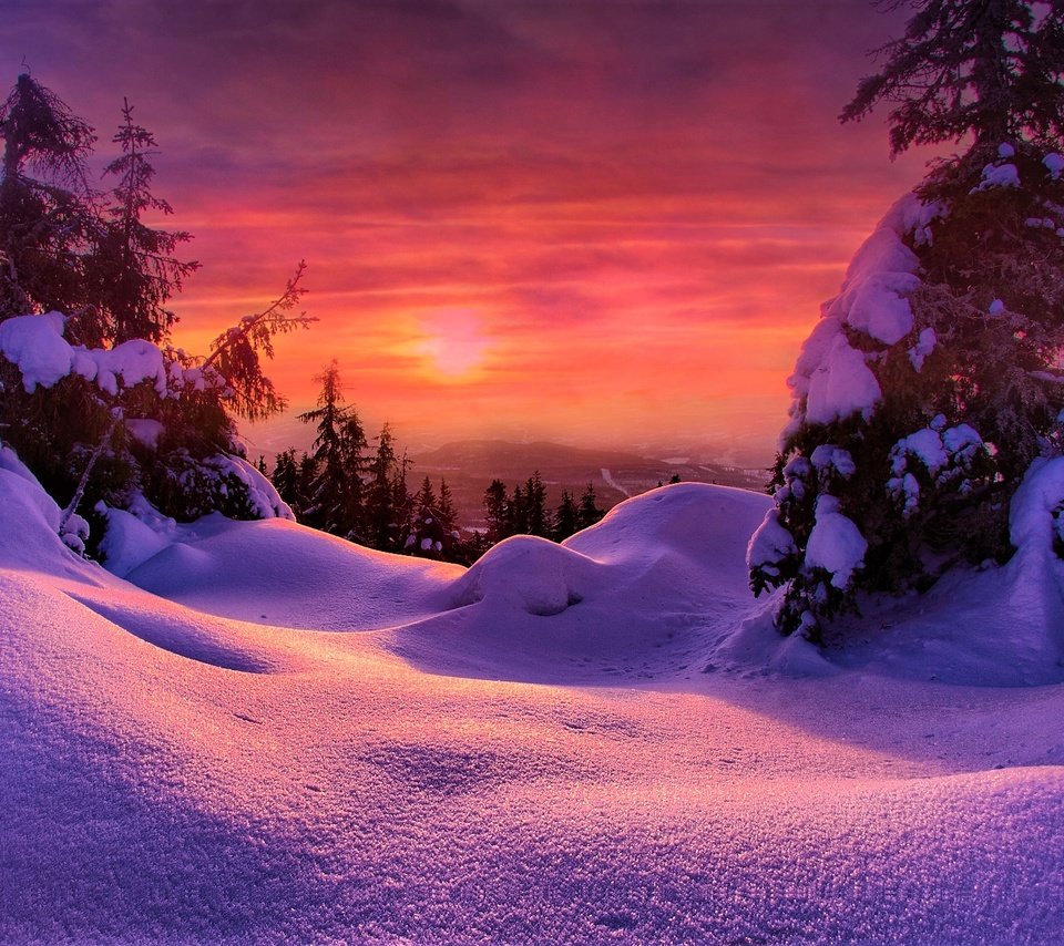 Обои снег, закат, зима, ели, snow, sunset, winter, ate разрешение 2048x1363 Загрузить