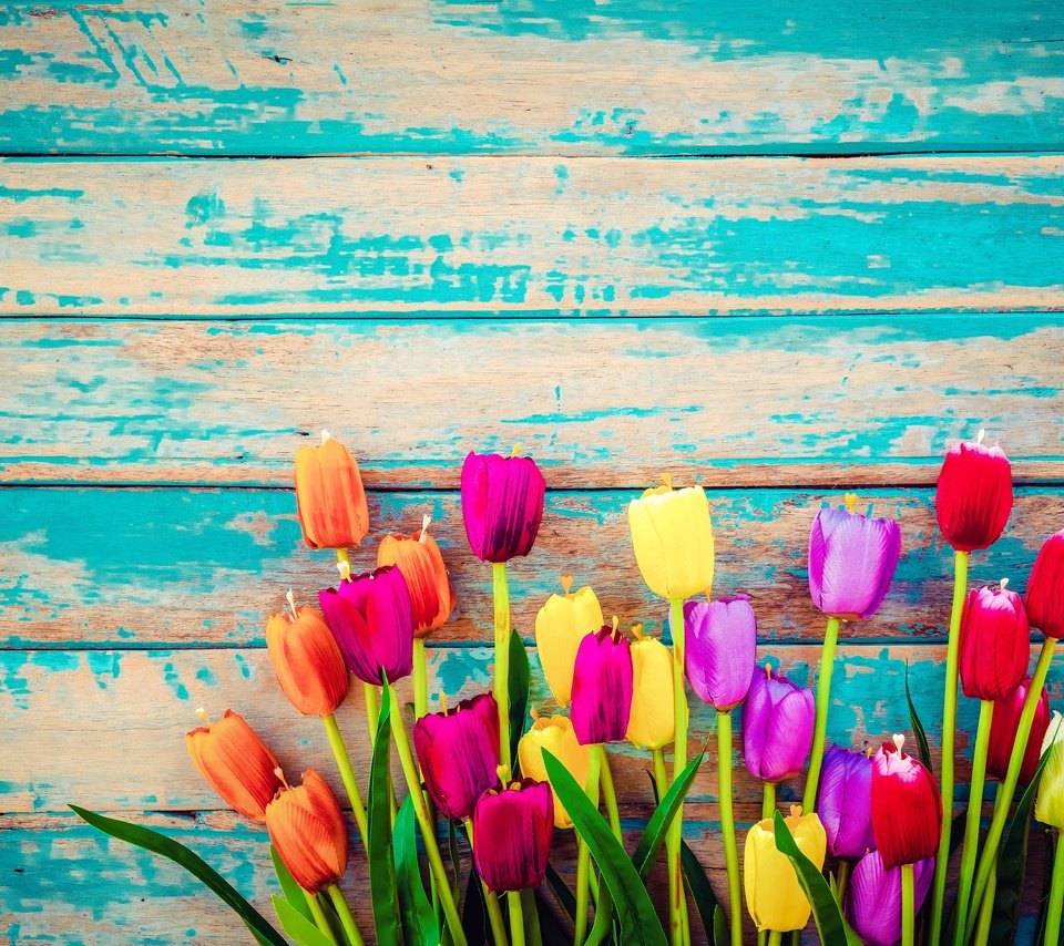 Обои доски, тюльпаны, board, tulips разрешение 6205x4136 Загрузить