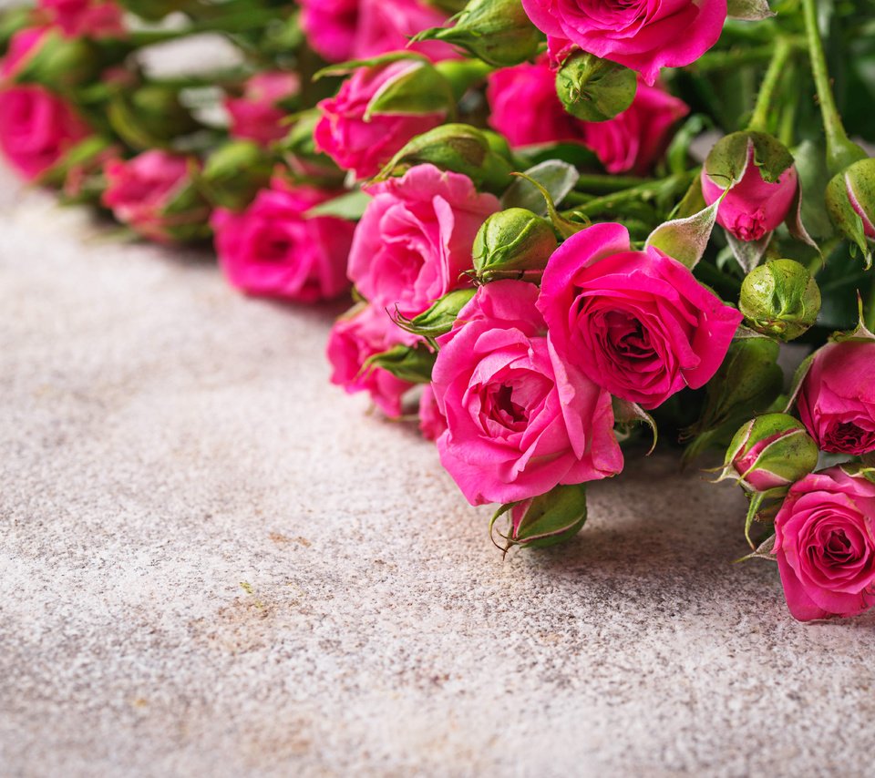 Обои цветы, бутоны, розы, лепестки, букет, розовые, flowers, buds, roses, petals, bouquet, pink разрешение 6016x4016 Загрузить