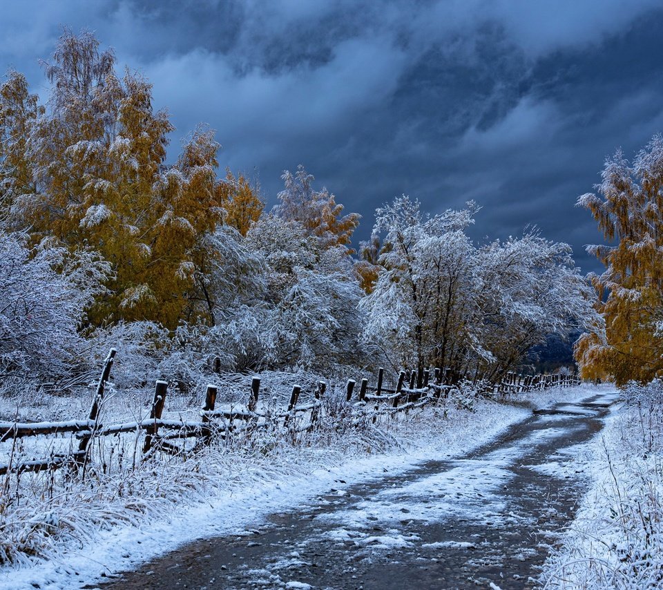 Обои дорога, деревья, снег, осень, забор, казахстан, road, trees, snow, autumn, the fence, kazakhstan разрешение 1920x1281 Загрузить