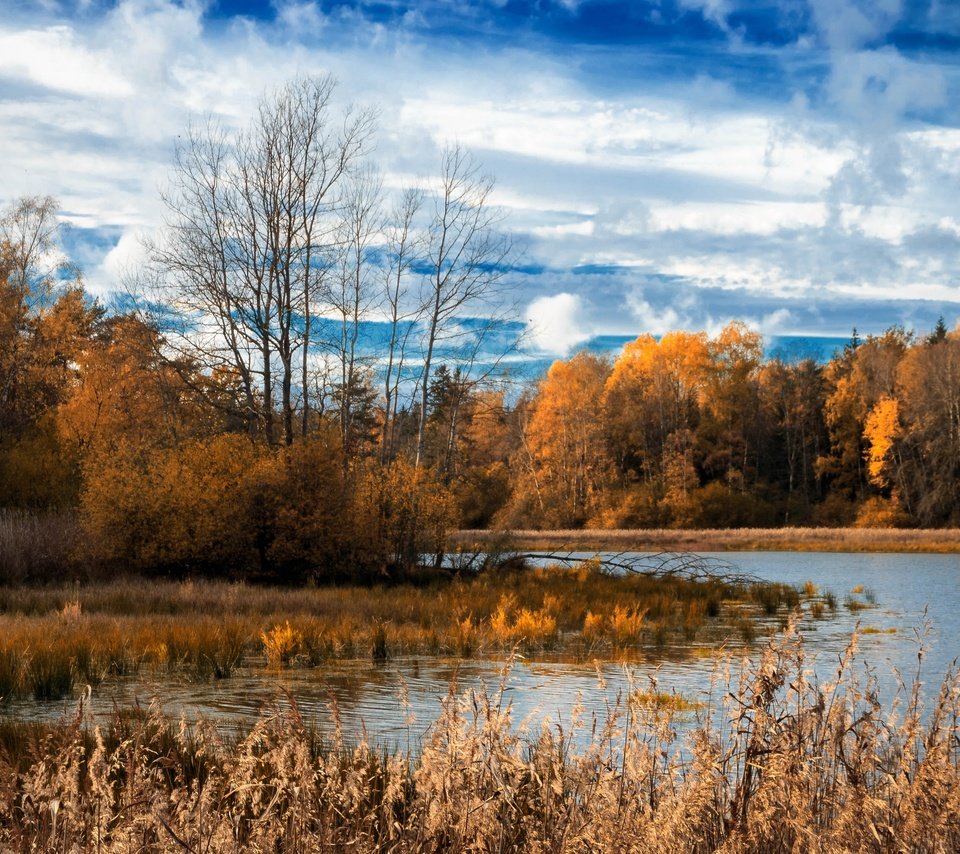 Обои озеро, лес, lake, forest разрешение 3840x2160 Загрузить