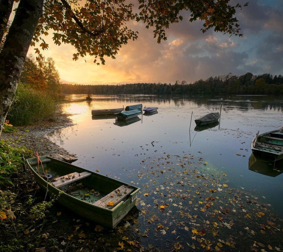 Обои берег, осень, лодки, водоем, shore, autumn, boats, pond разрешение 5184x3456 Загрузить