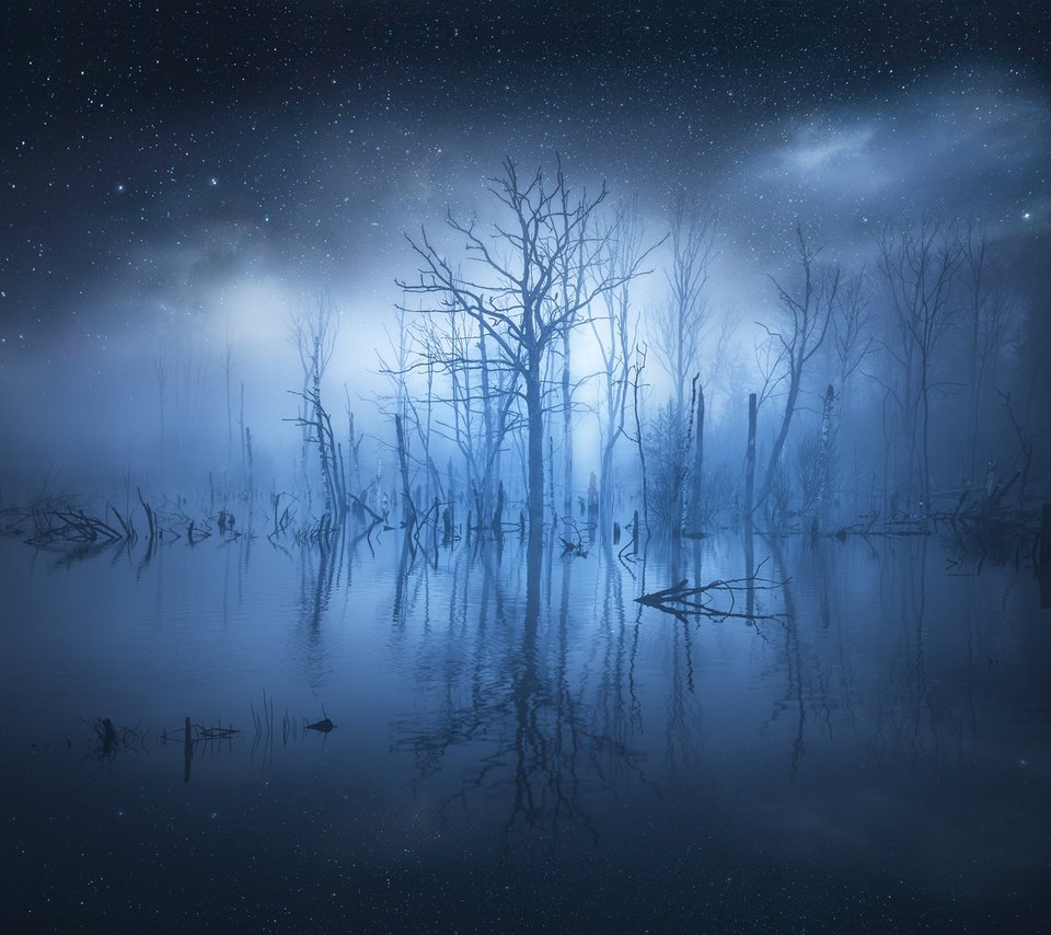 Обои деревья, вода, отражение, звезды, туман, свечение, trees, water, reflection, stars, fog, glow разрешение 2500x1878 Загрузить