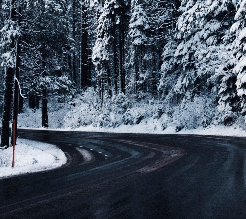 Обои дорога, деревья, снег, зима, road, trees, snow, winter разрешение 1920x1080 Загрузить
