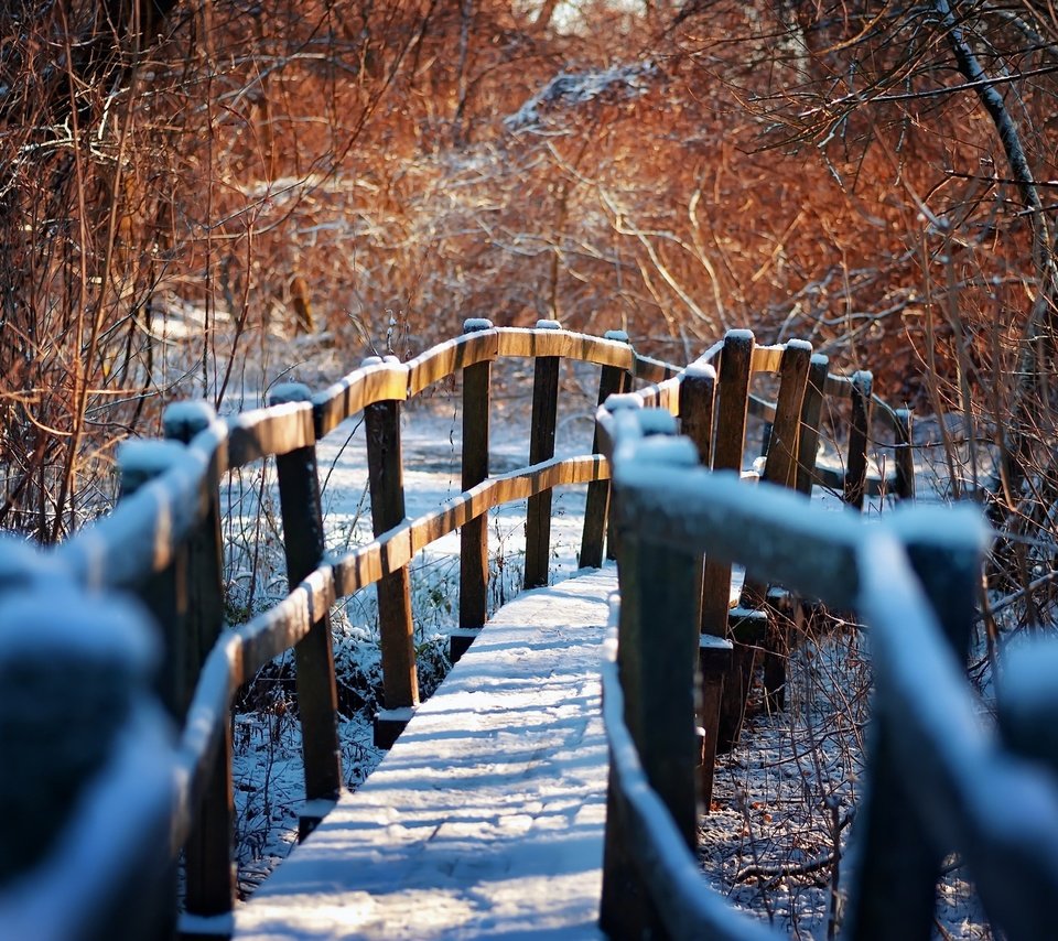 Обои зима, тропа, деревянный мост, winter, trail, wooden bridge разрешение 2048x1363 Загрузить