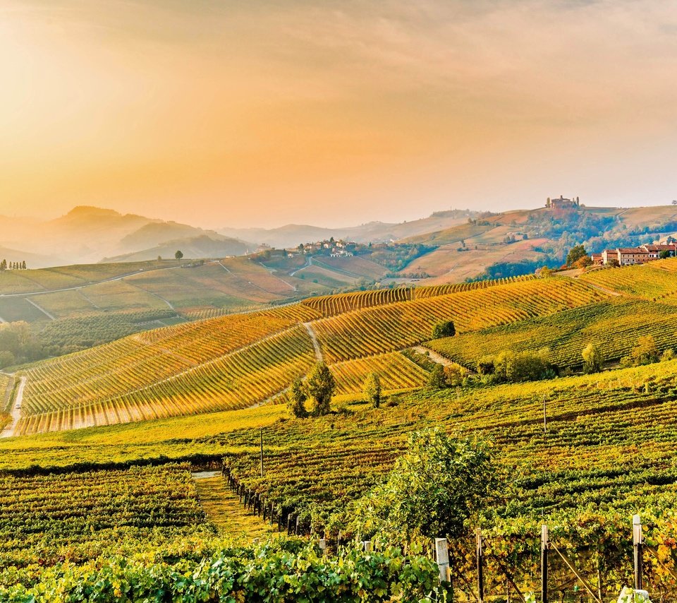 Обои холмы, италия, виноградники, пьемонт, hills, italy, the vineyards, piedmont разрешение 5130x2886 Загрузить