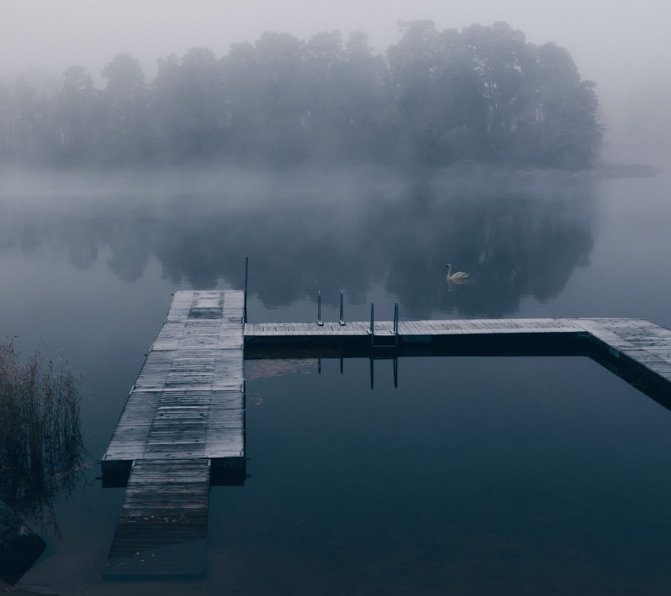 Обои озеро, туман, причал, лебедь, lake, fog, pier, swan разрешение 2112x1188 Загрузить