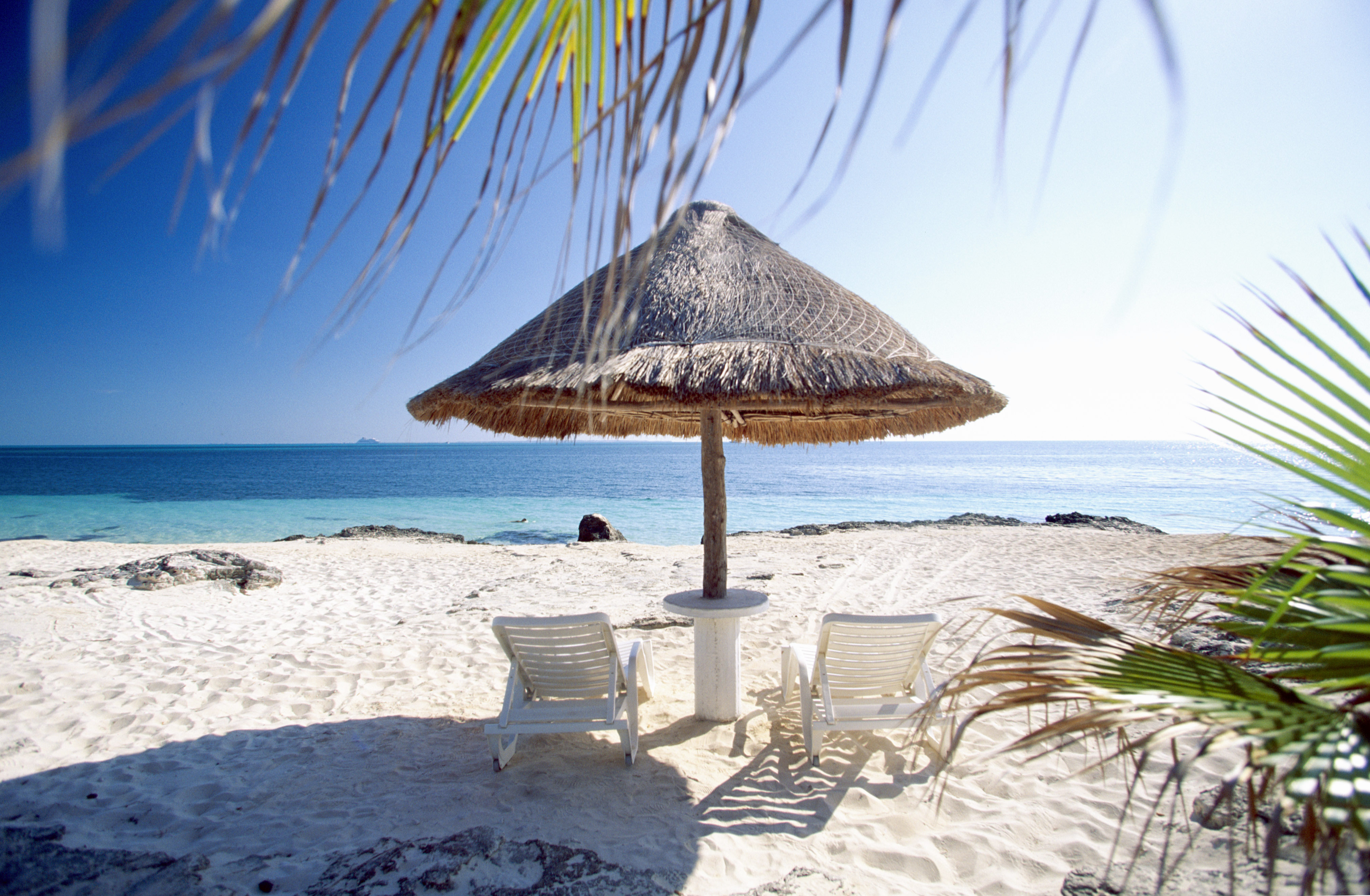 Пляжный. Тунис пляжи с белым песком Джерба. Тунис пальмы океан Джерба. Море пляж. Шикарный пляж.