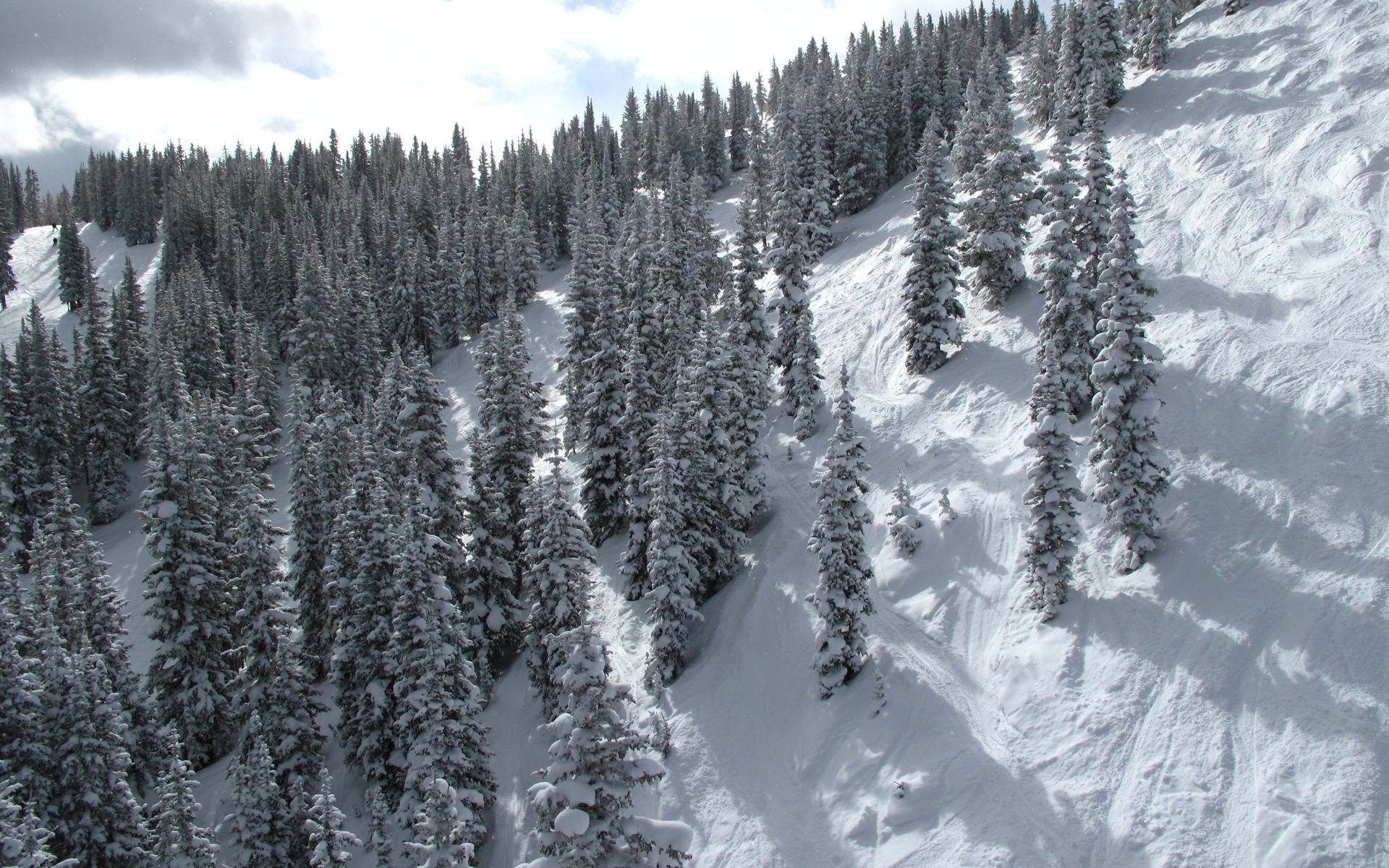 Обои снег, зима, склон, гора, snow, winter, slope, mountain разрешение 1920x1200 Загрузить