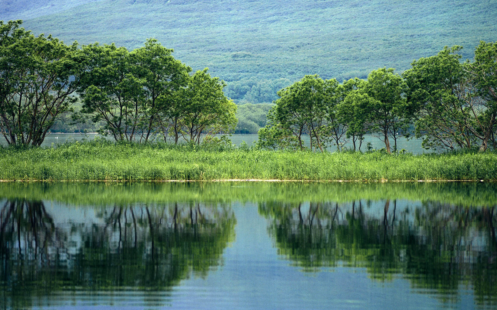 Обои деревья, отражение, пруд, trees, reflection, pond разрешение 1920x1200 Загрузить