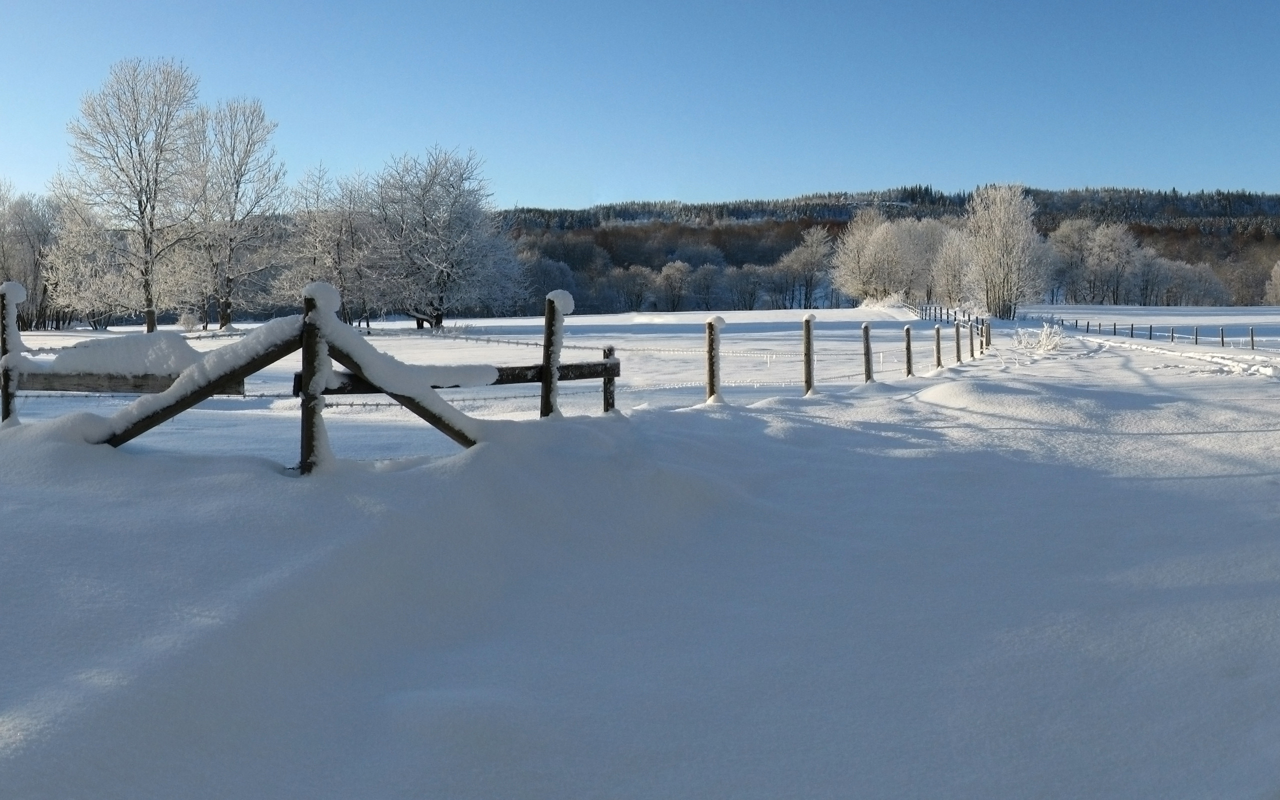 Обои снег, зима, декабрь, snow, winter, december разрешение 2560x1600 Загрузить