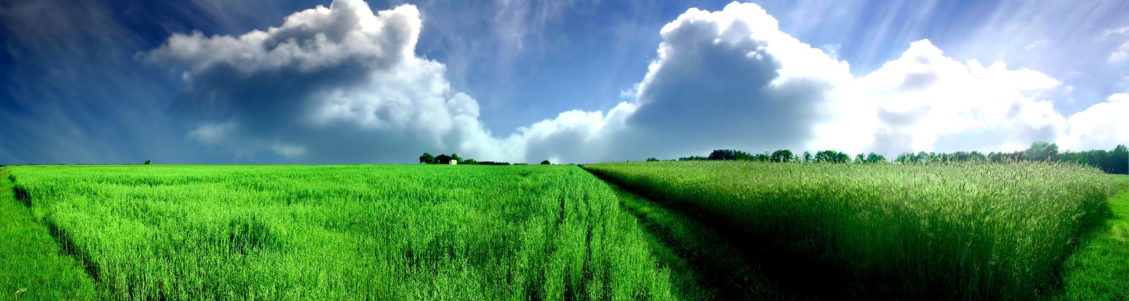 Обои облака, зелёный, поле, панорама, clouds, green, field, panorama разрешение 3840x1024 Загрузить