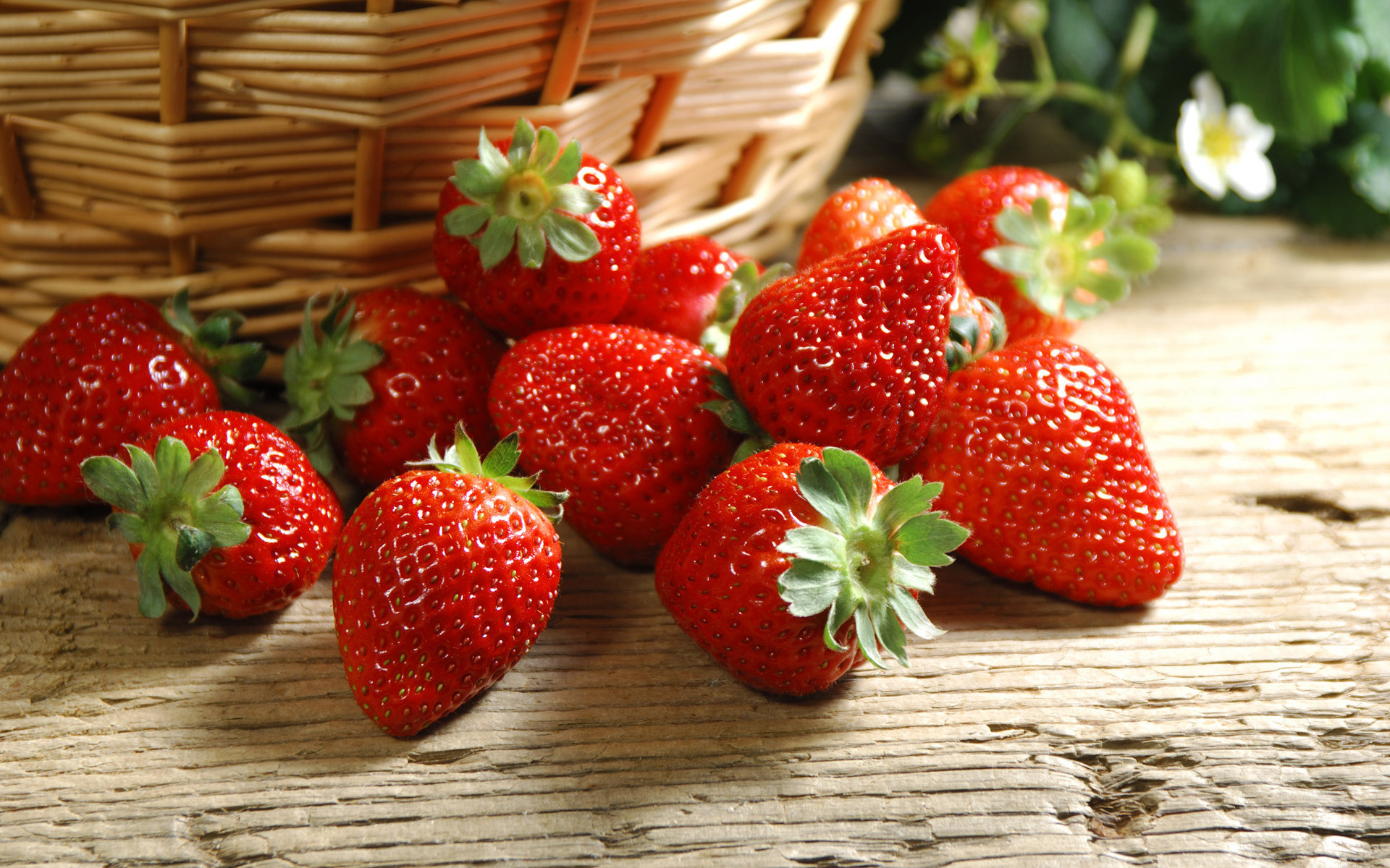 Обои обои, ягода, клубника, ягодки, корзинка, wallpaper, berry, strawberry, berries, basket разрешение 1920x1200 Загрузить