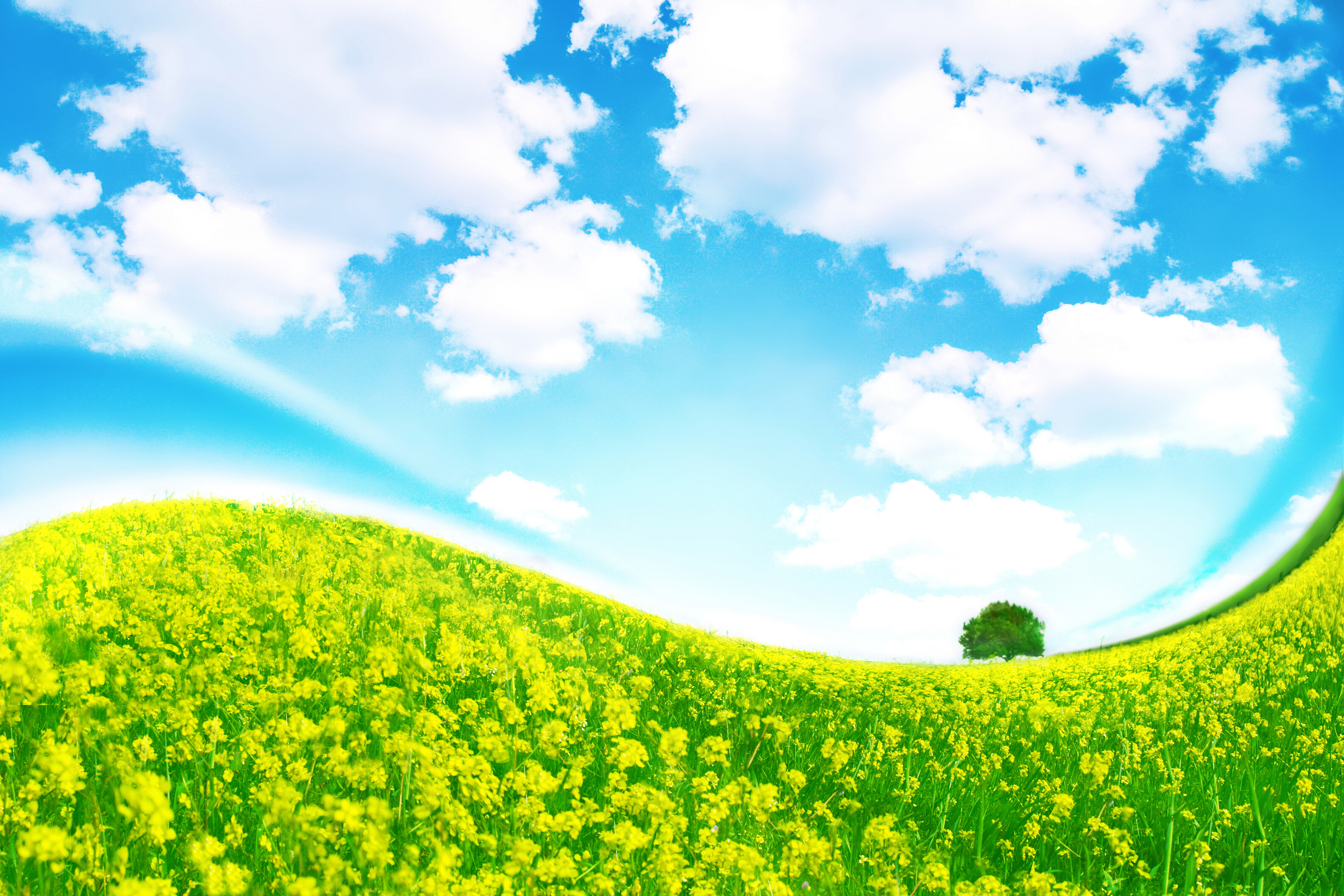 Обои небо, трава, облака, дерево, изгиб, the sky, grass, clouds, tree, bending разрешение 3000x2000 Загрузить