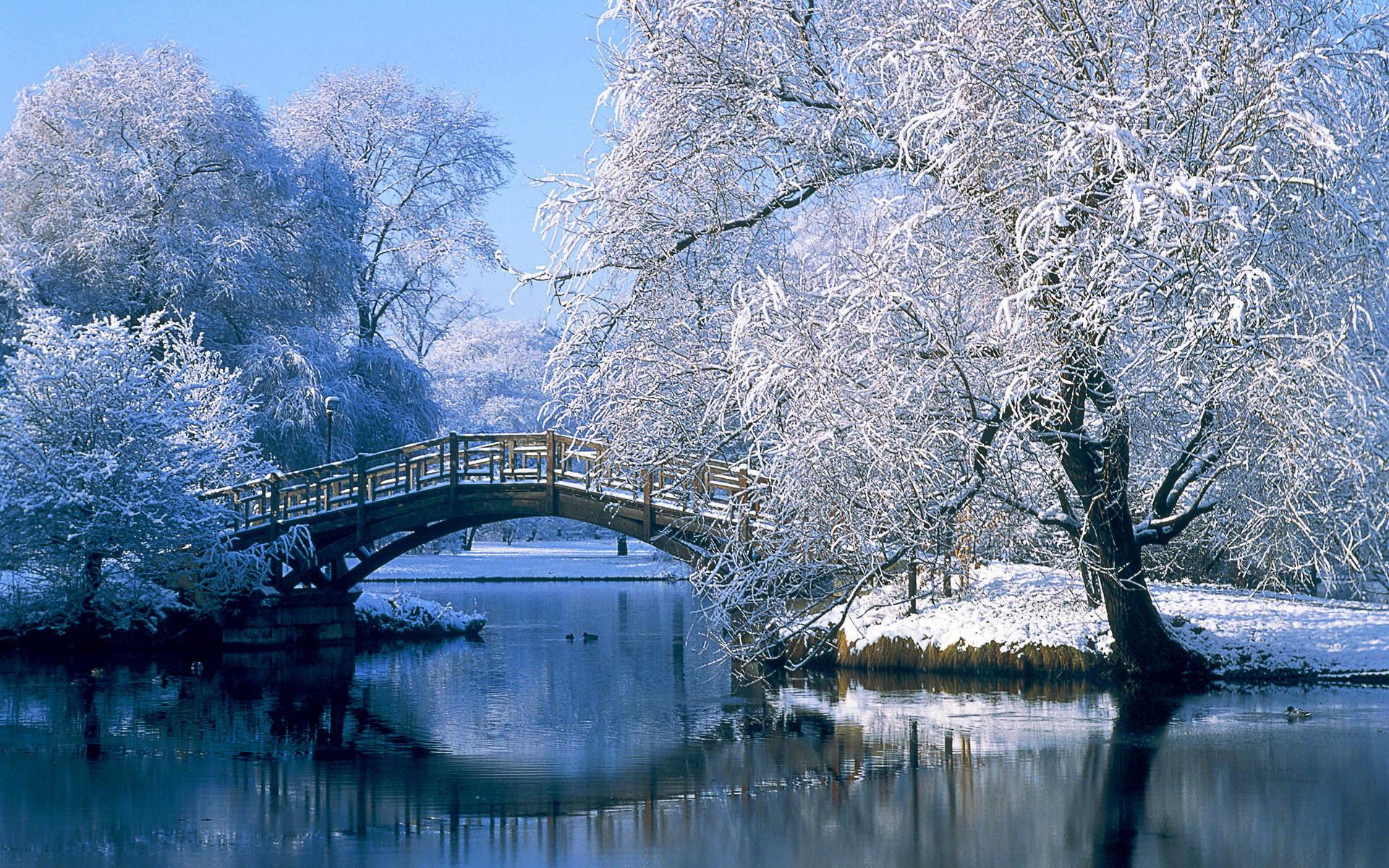 Обои зима, мост, германия, winter, bridge, germany разрешение 1920x1200 Загрузить