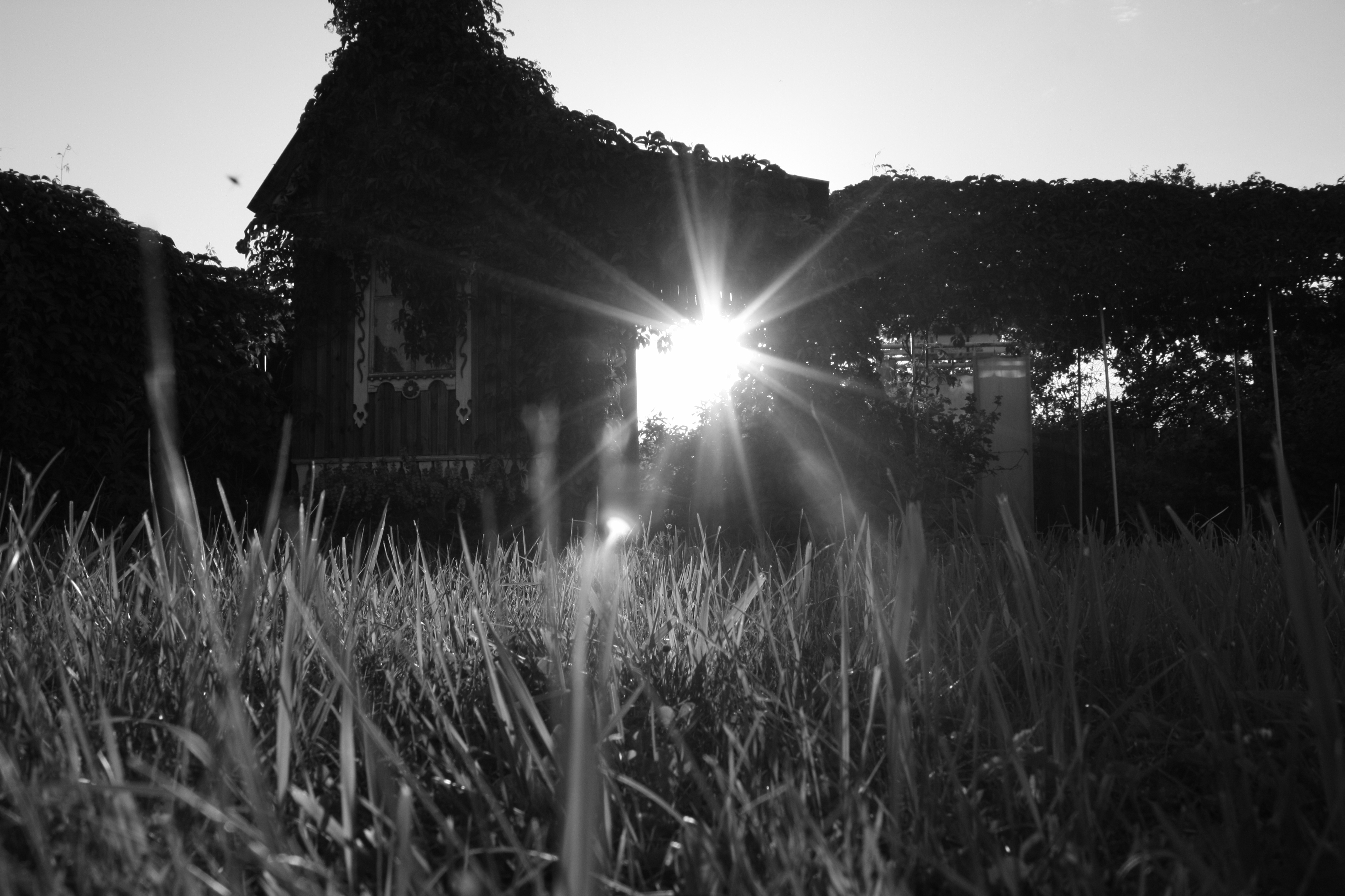 Черный солнечный свет. Пейзаж чб. Черный дом в поле. Летняя ночь в деревне. Дом в поле.