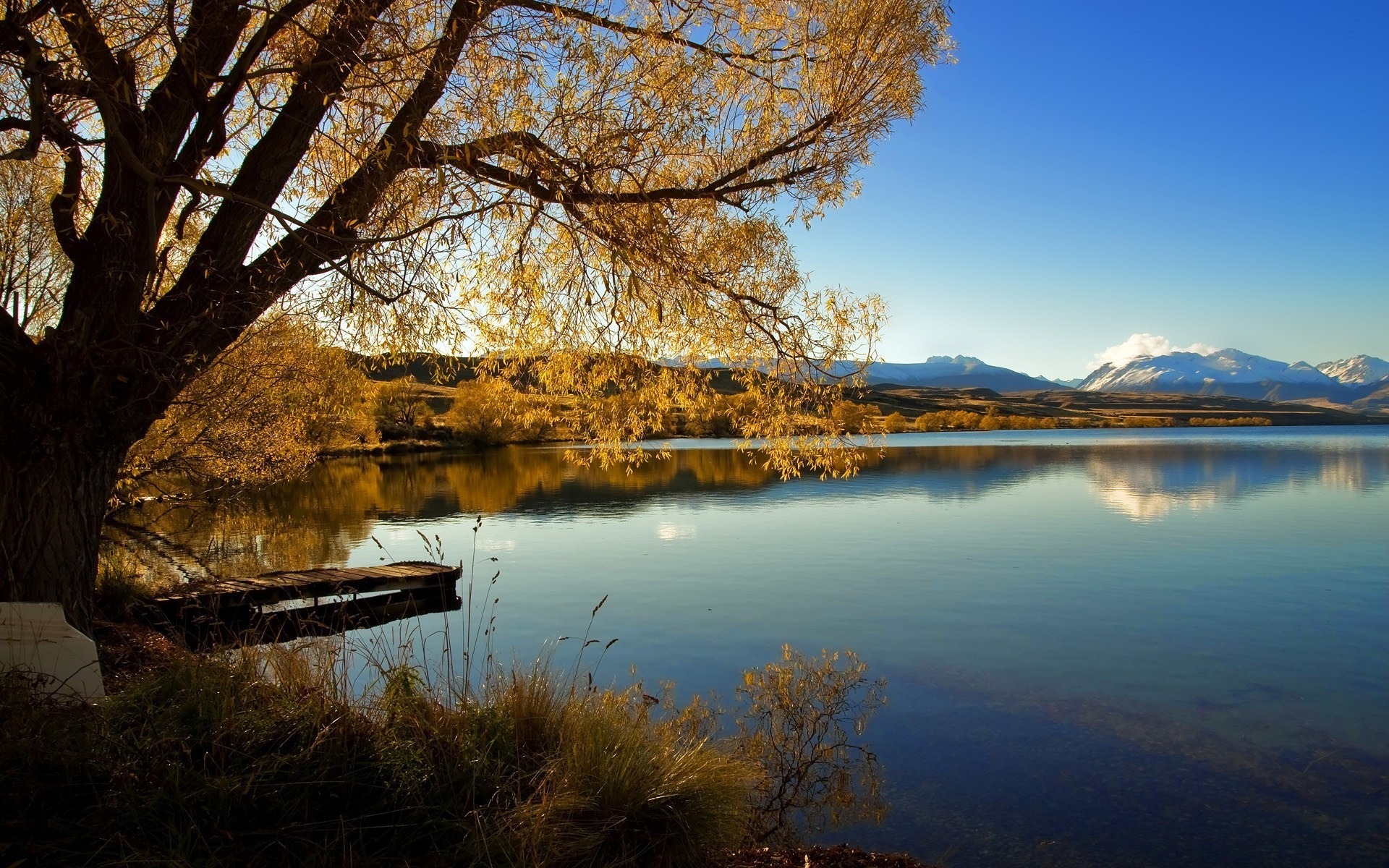 Обои озеро, новая зеландия, alexandrina, lake, new zealand разрешение 1920x1200 Загрузить