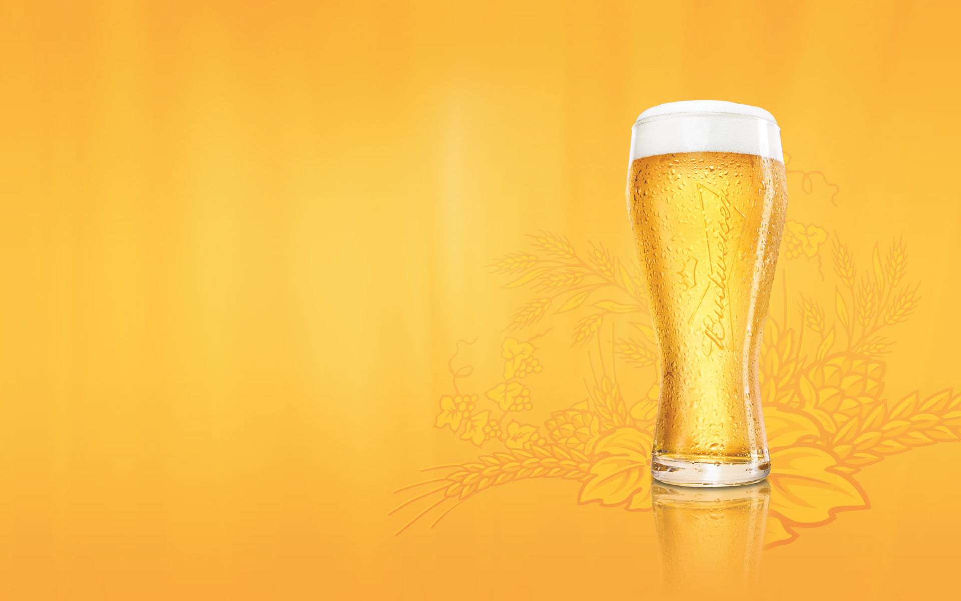 Обои стакан, пиво, пена, budweiser, glass, beer, foam разрешение 1920x1200 Загрузить