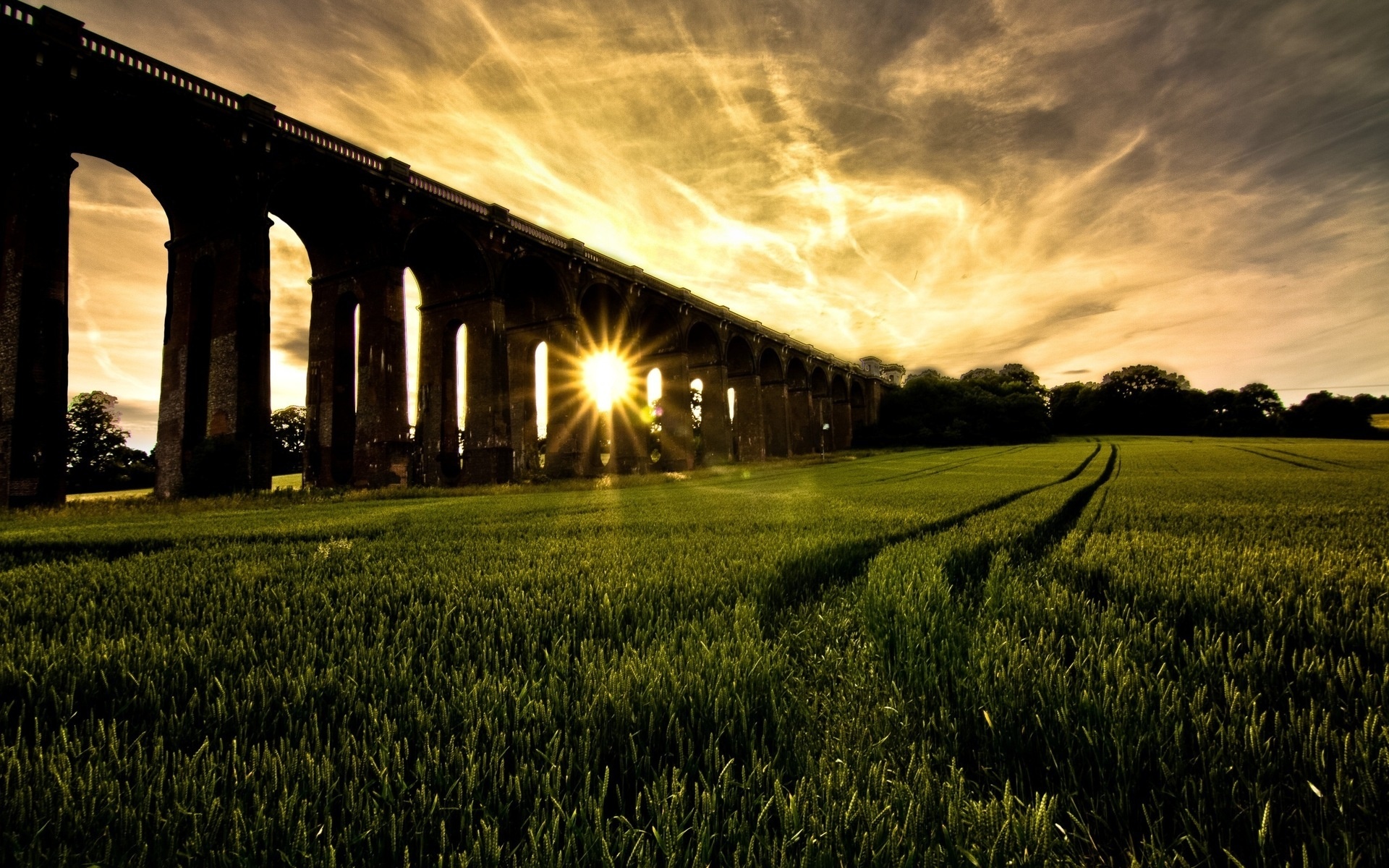 Обои трава, солнце, мост, красиво, grass, the sun, bridge, beautiful разрешение 1920x1200 Загрузить