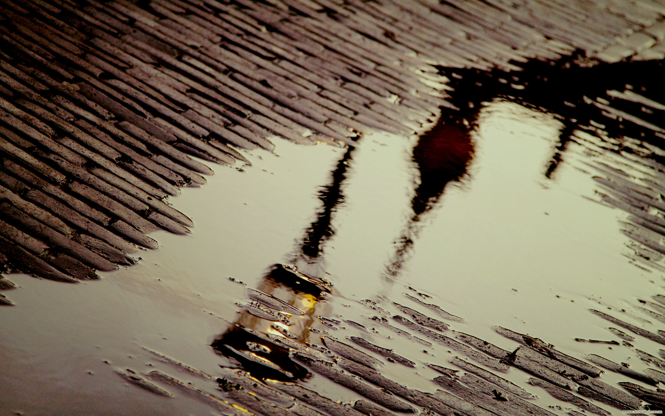 Дождь по лужам. Красивое отражение в луже. Лужа Эстетика. Красивая лужа. Дождь.