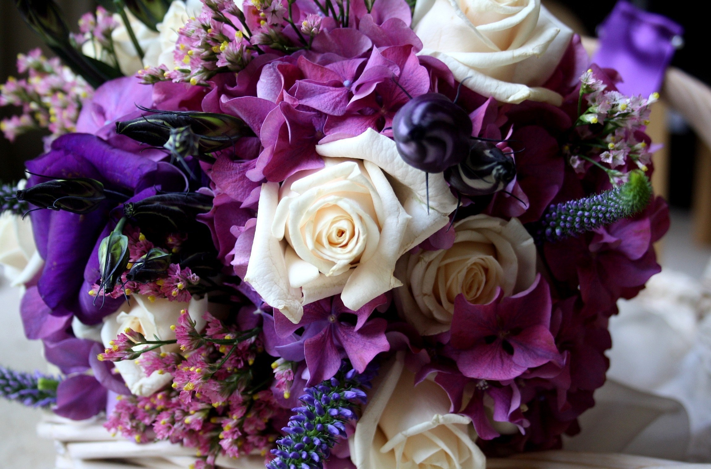 Обои cvety, fioletovyj, cvetok, rozy, cvet, gortenziya, yeust разрешение 2300x1516 Загрузить