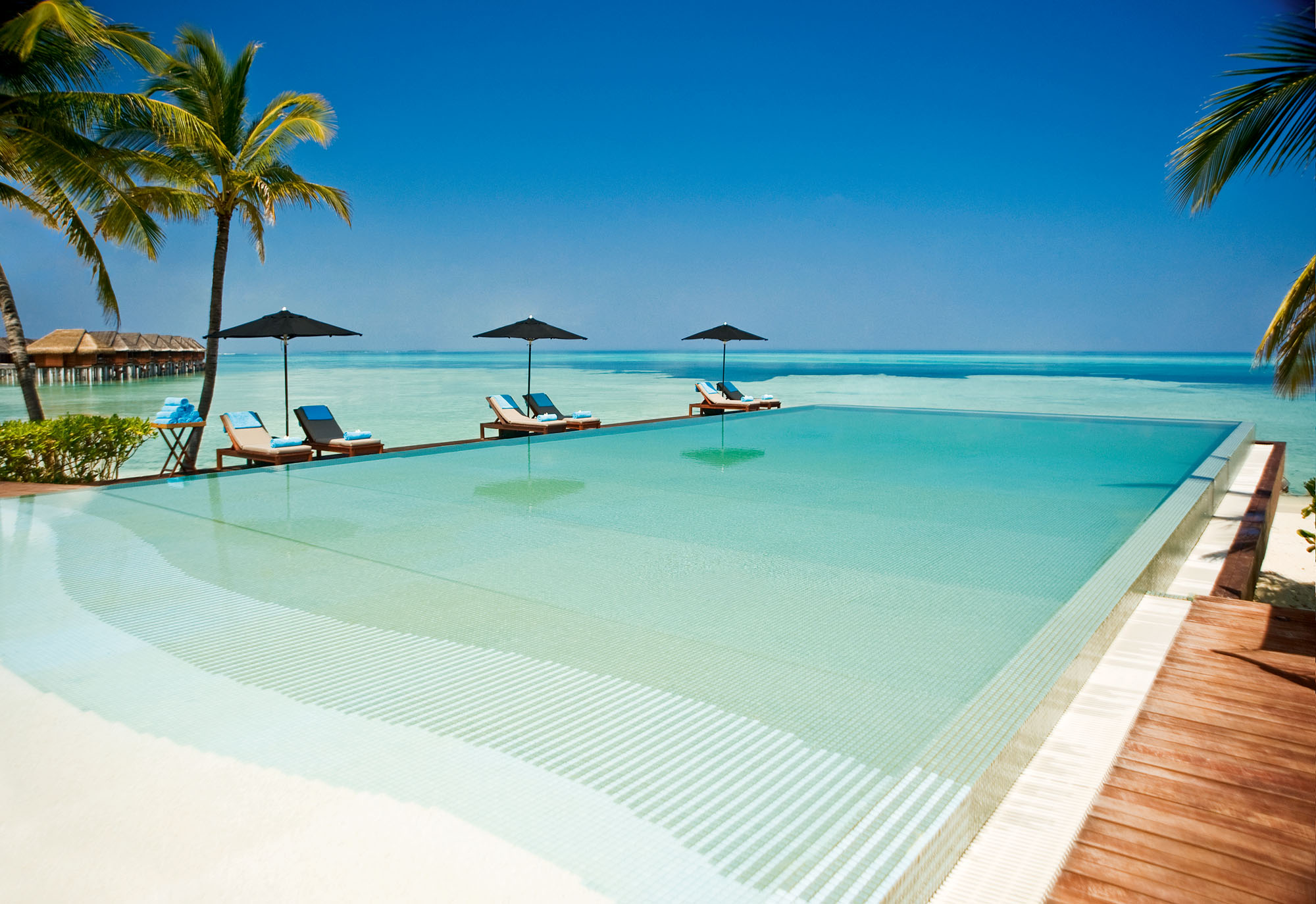 Обои пляж, пальмы, тропики, мальдивы, beach, palm trees, tropics, the maldives разрешение 2000x1374 Загрузить