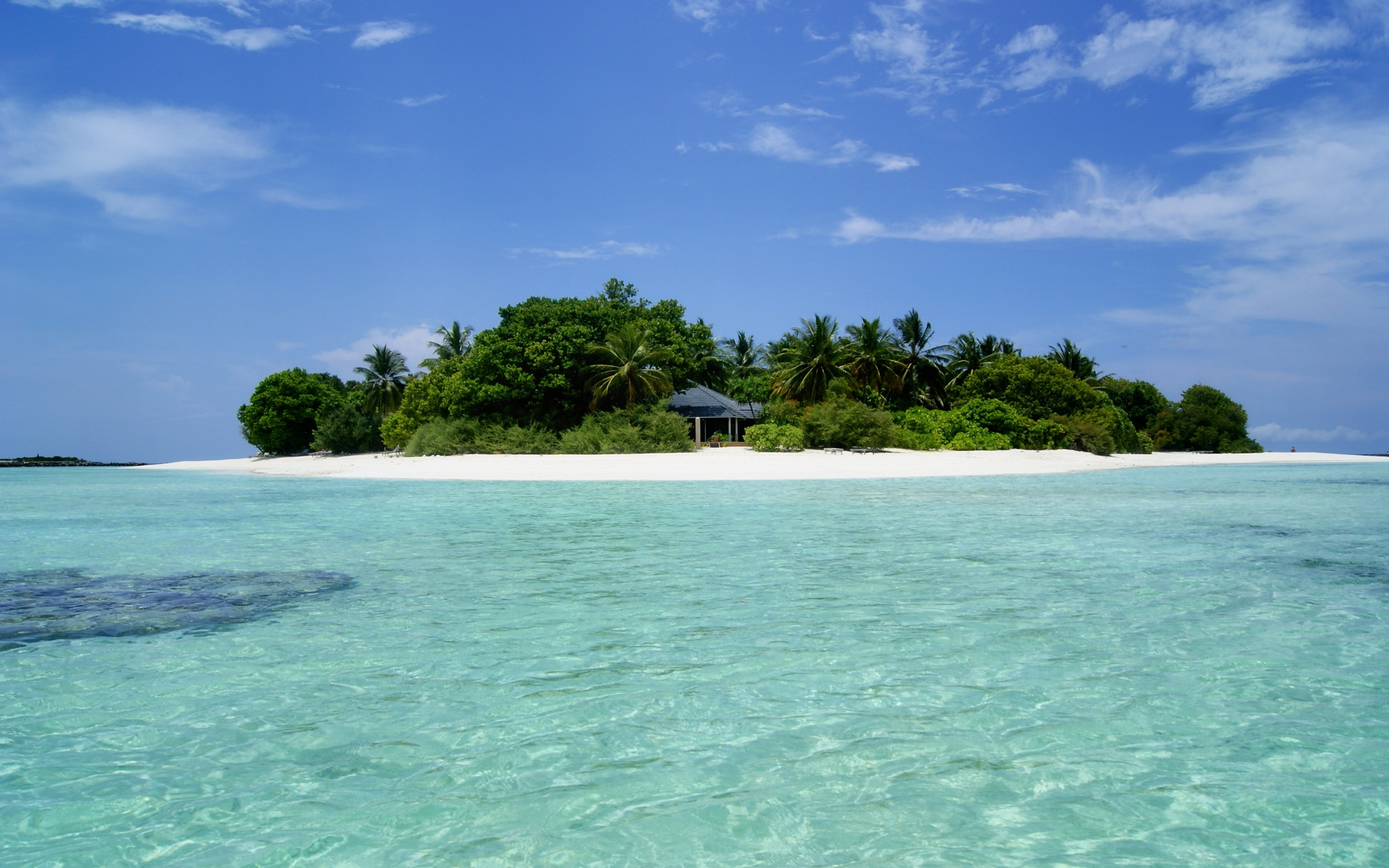 Html islands. Гавайи Мальдивы Карибы. Мальдивы тропики. Остров пляж. Острова и море.