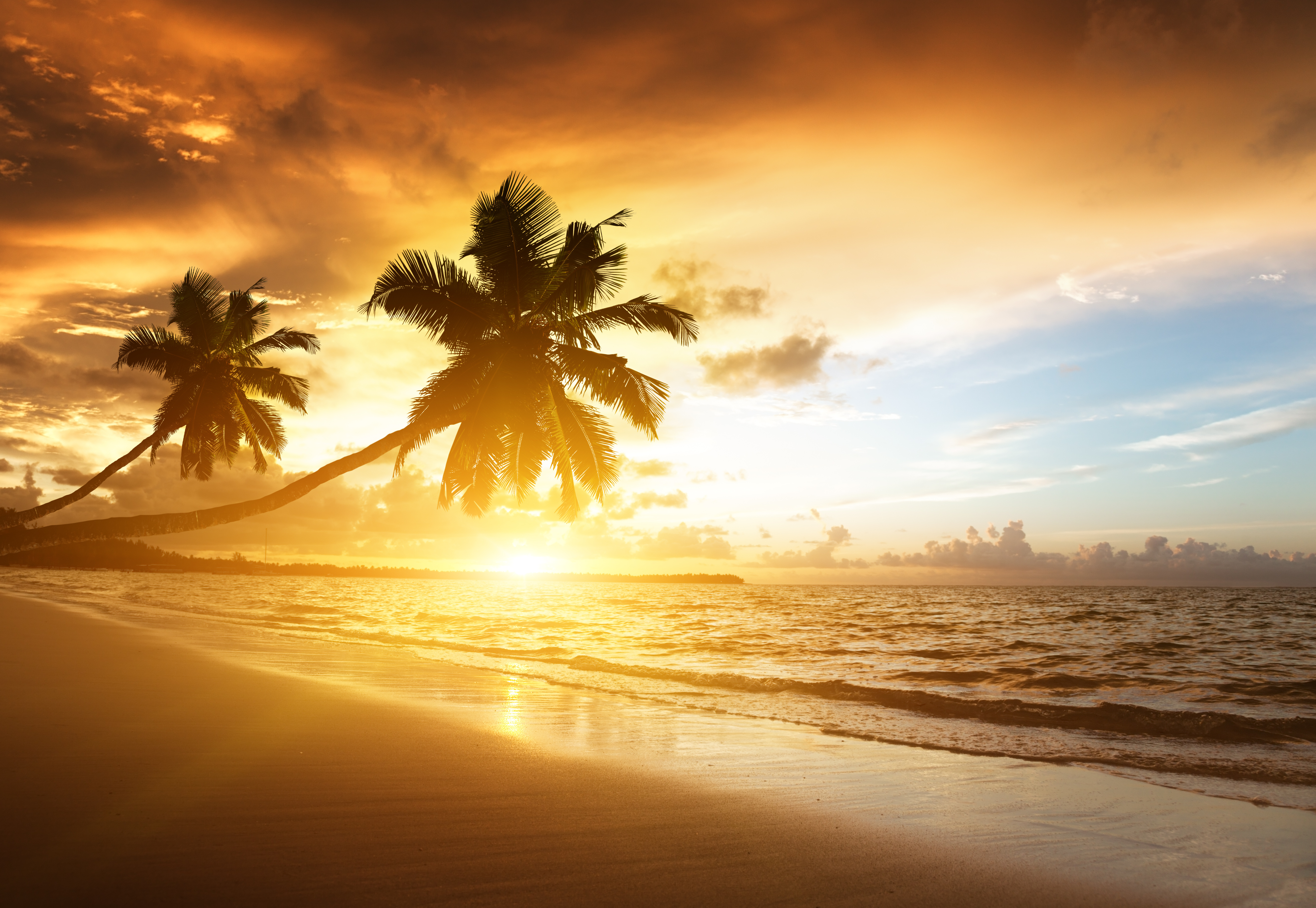 Обои закат, пляж, пальмы, тропики, sunset, beach, palm trees, tropics разрешение 5224x3604 Загрузить