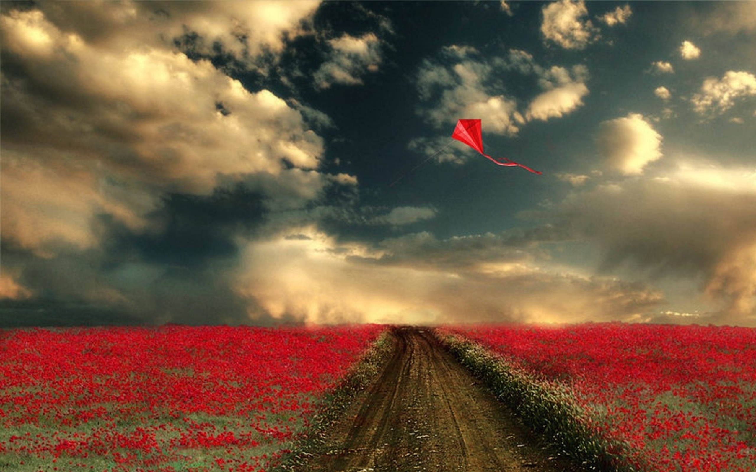 Обои дорога, цветы, облака, поле, воздушный змей. небо, road, flowers, clouds, field, kite. the sky разрешение 2560x1600 Загрузить