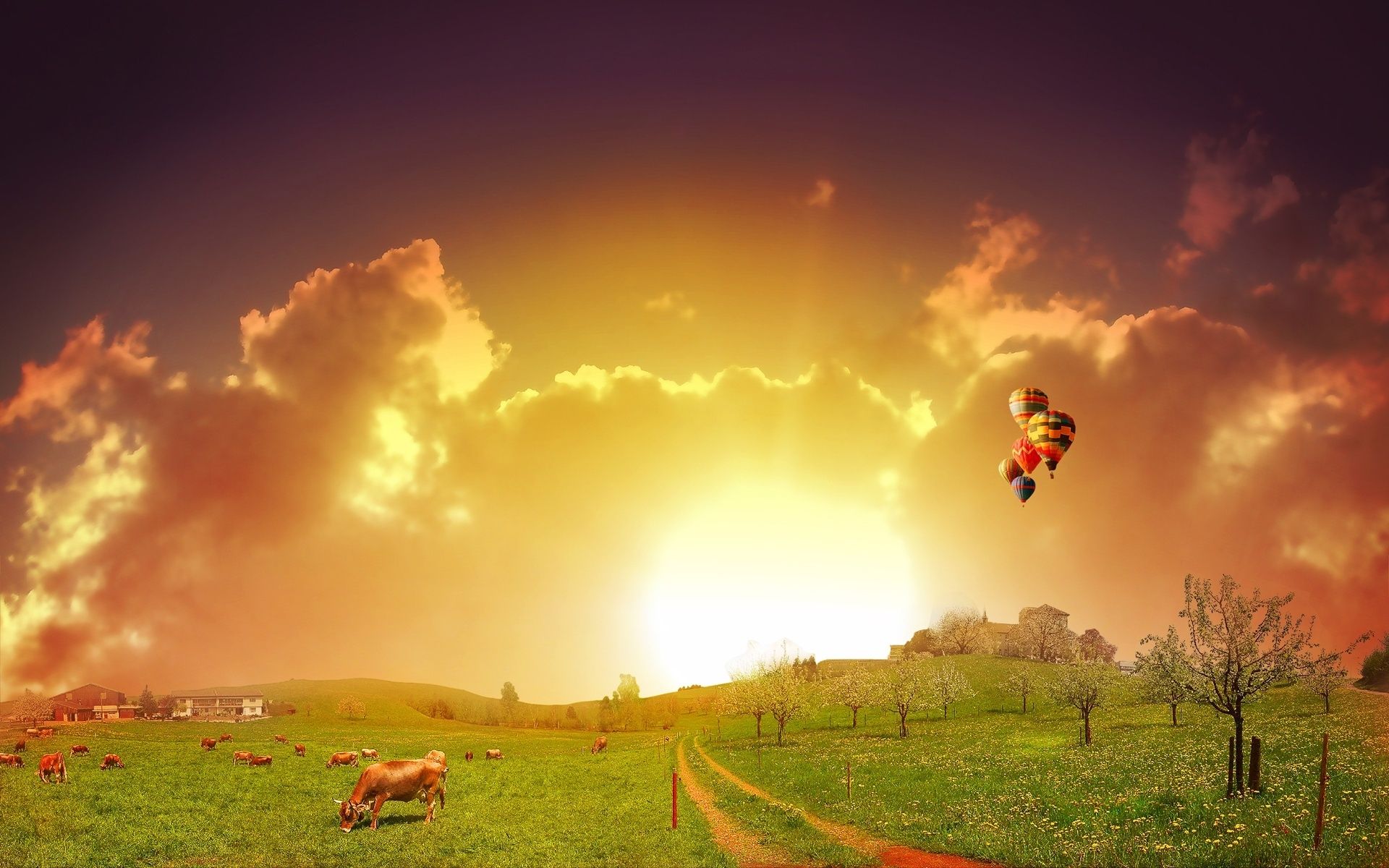 Обои небо, коровы, дорога, трава, облака, закат, поле, дома, воздушные шары, the sky, cows, road, grass, clouds, sunset, field, home, balloons разрешение 1920x1200 Загрузить