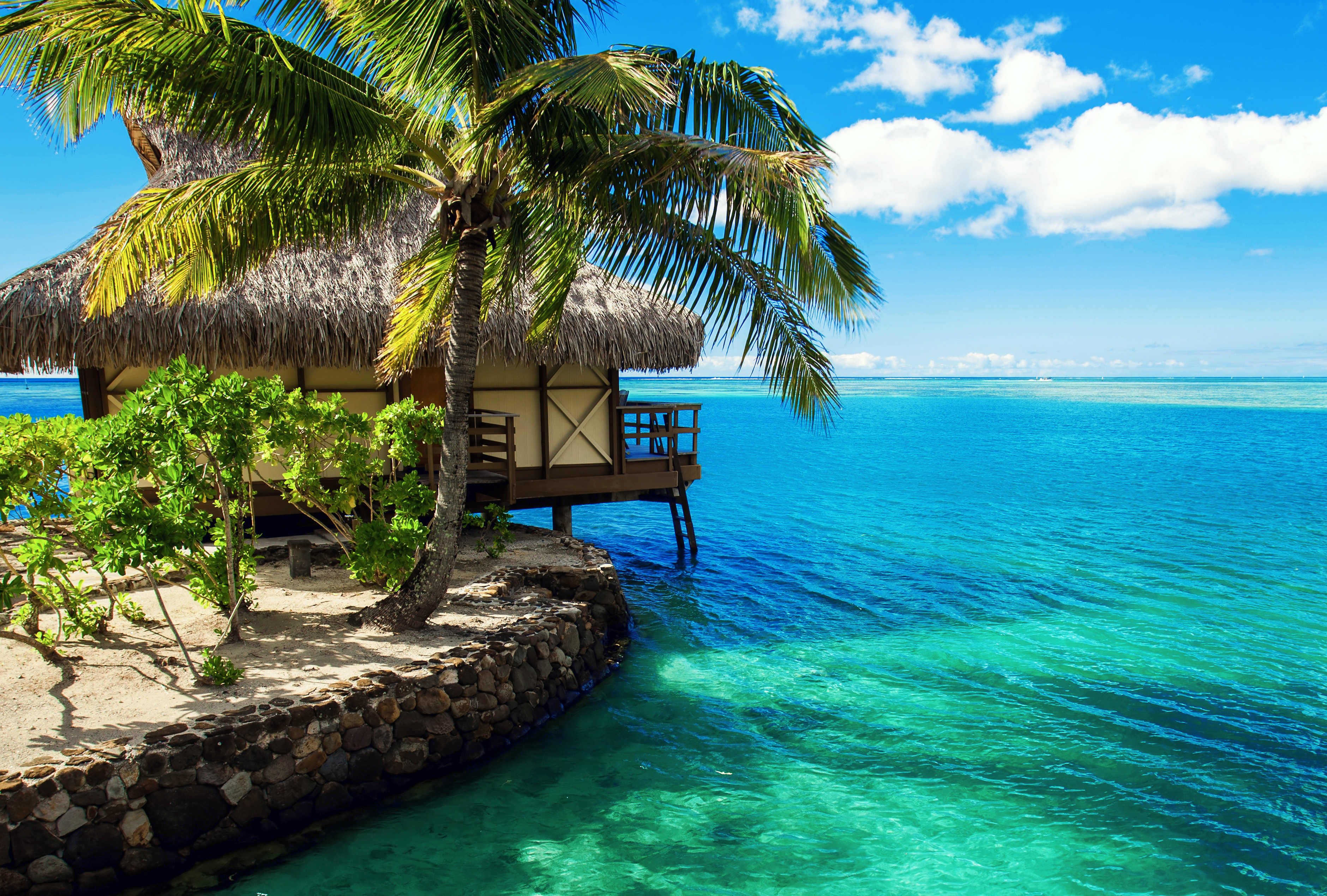 Красивые места пляжи. Бунгало тропики. Мальдивы вода море бунгало пальмы. Бали океан. Мальдивы, океан, пальмы, бунгало.