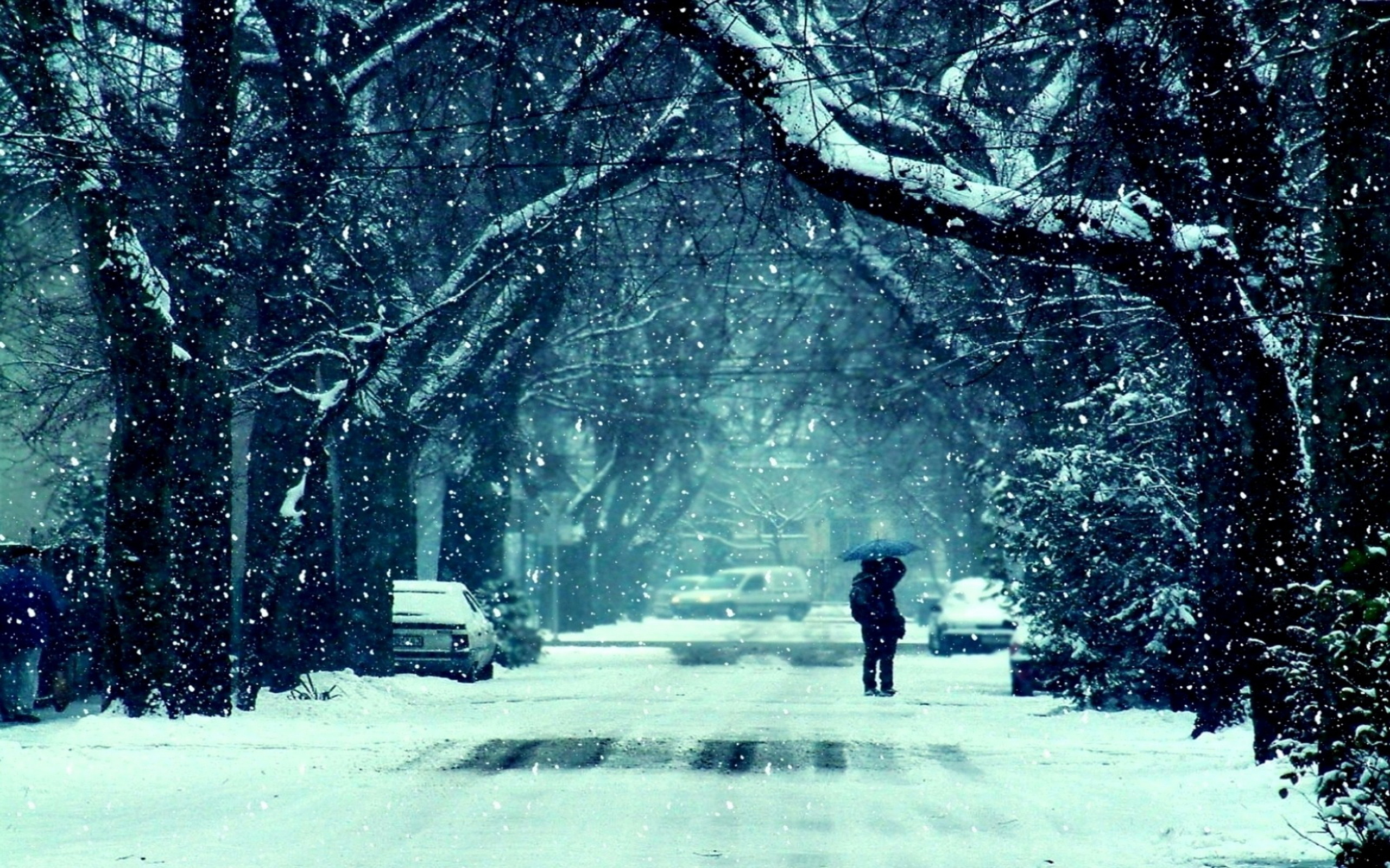 Snowing pic. Красивый снегопад. Снег идет. Зимний снегопад. Зимний город.