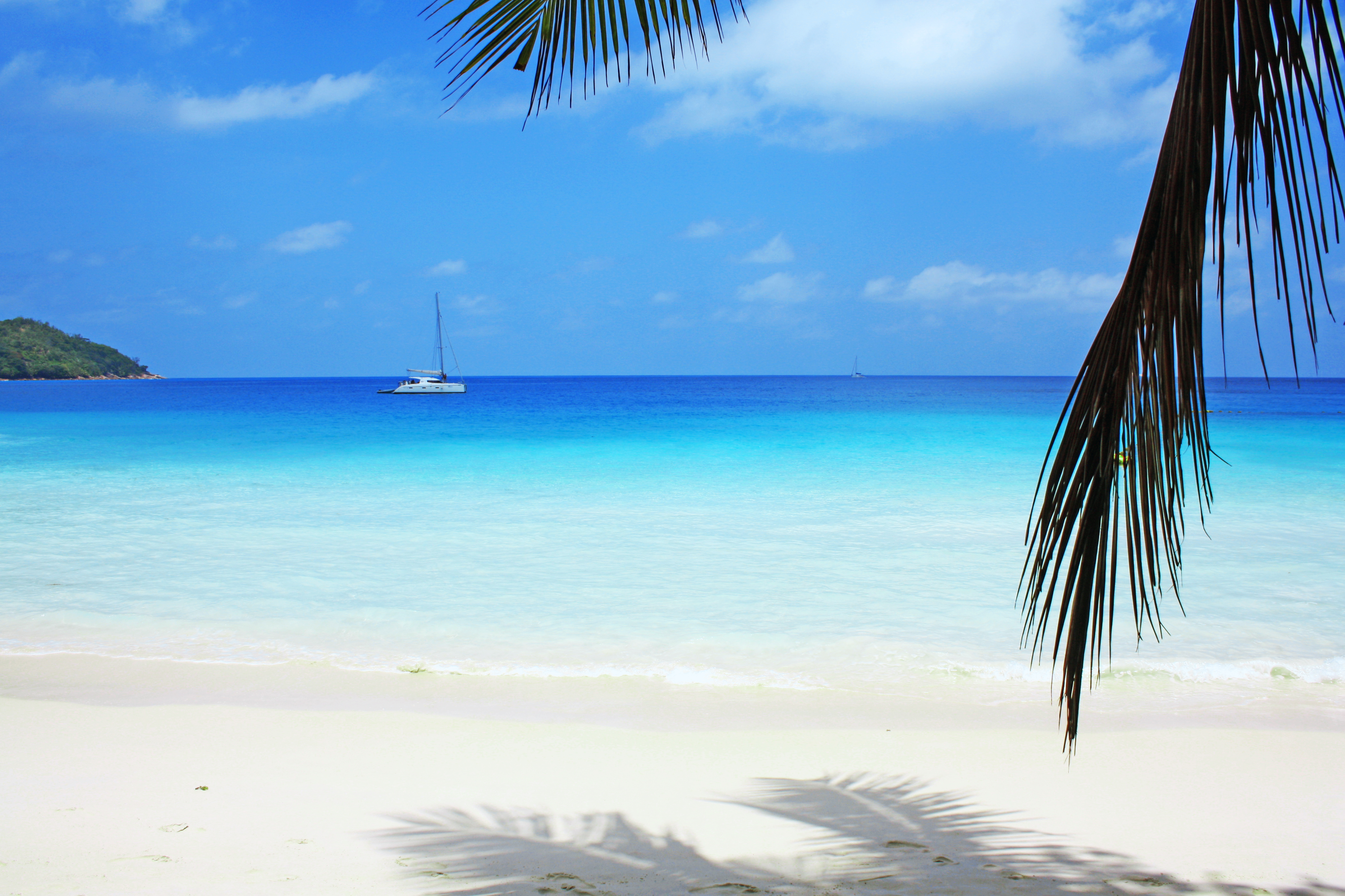 Остров обои айфон. Голубая Лагуна Саона Доминикана. Карибское море Доминикана. Тропический пляж. Пляж пальмы океан.