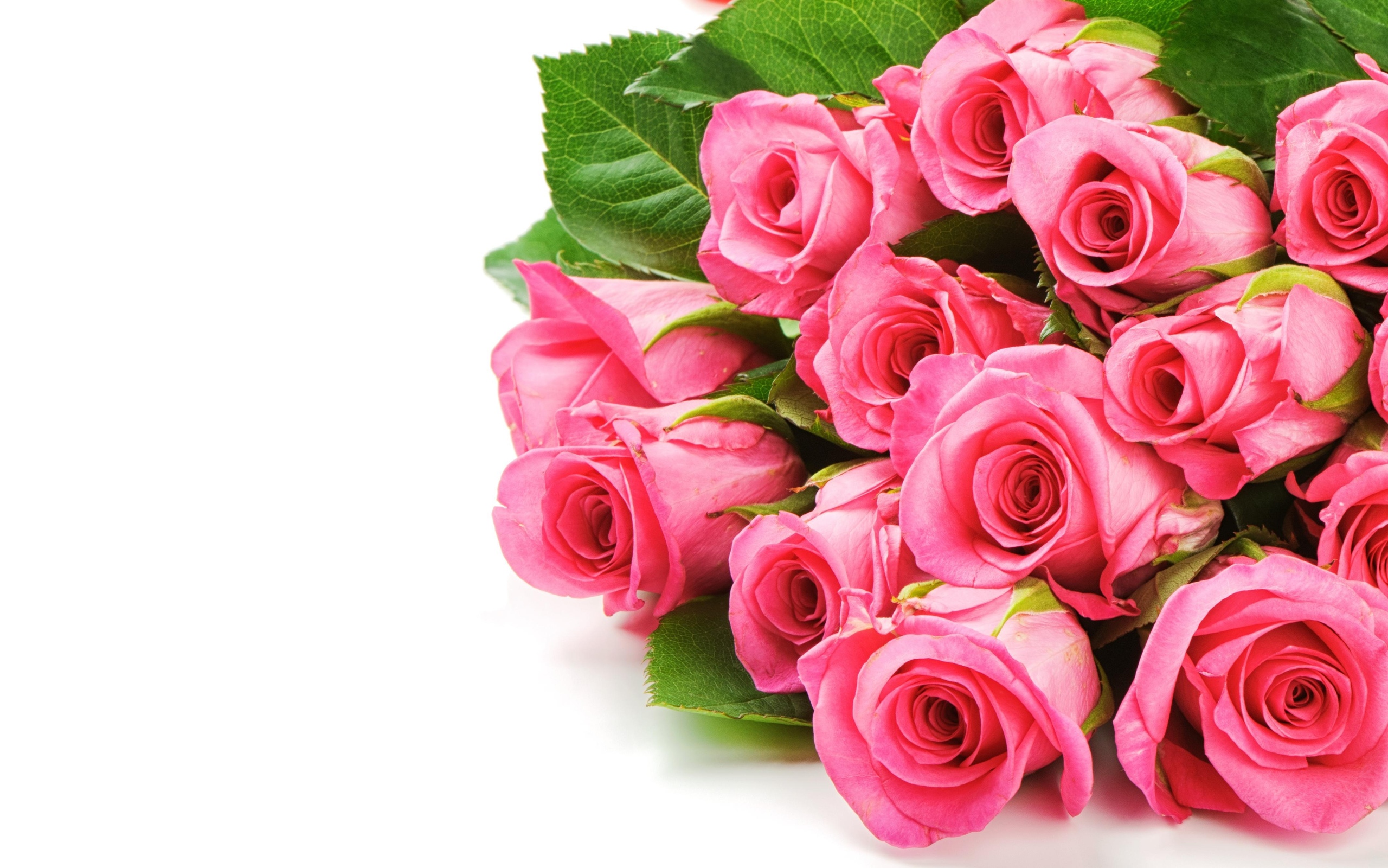 Обои цветы, розы, букет, розовый, flowers, roses, bouquet, pink разрешение 2560x1600 Загрузить
