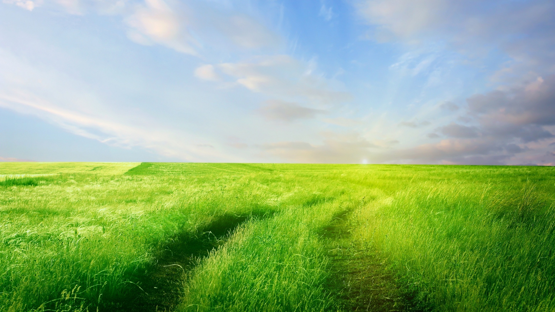Обои небо, дорога, трава, облака, зелень, поле, горизонт, the sky, road, grass, clouds, greens, field, horizon разрешение 1920x1080 Загрузить