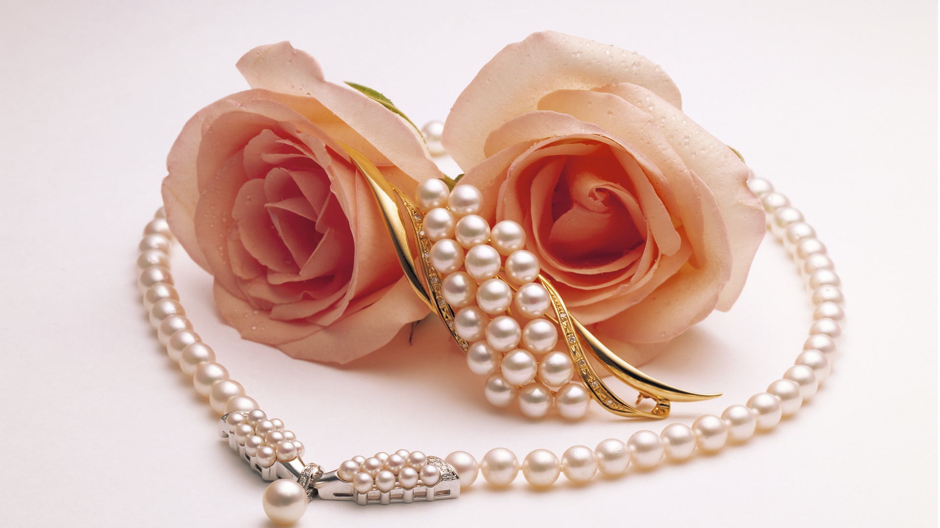 Обои розы, жемчуг, две, брошь, roses, pearl, two, brooch разрешение 1920x1080 Загрузить