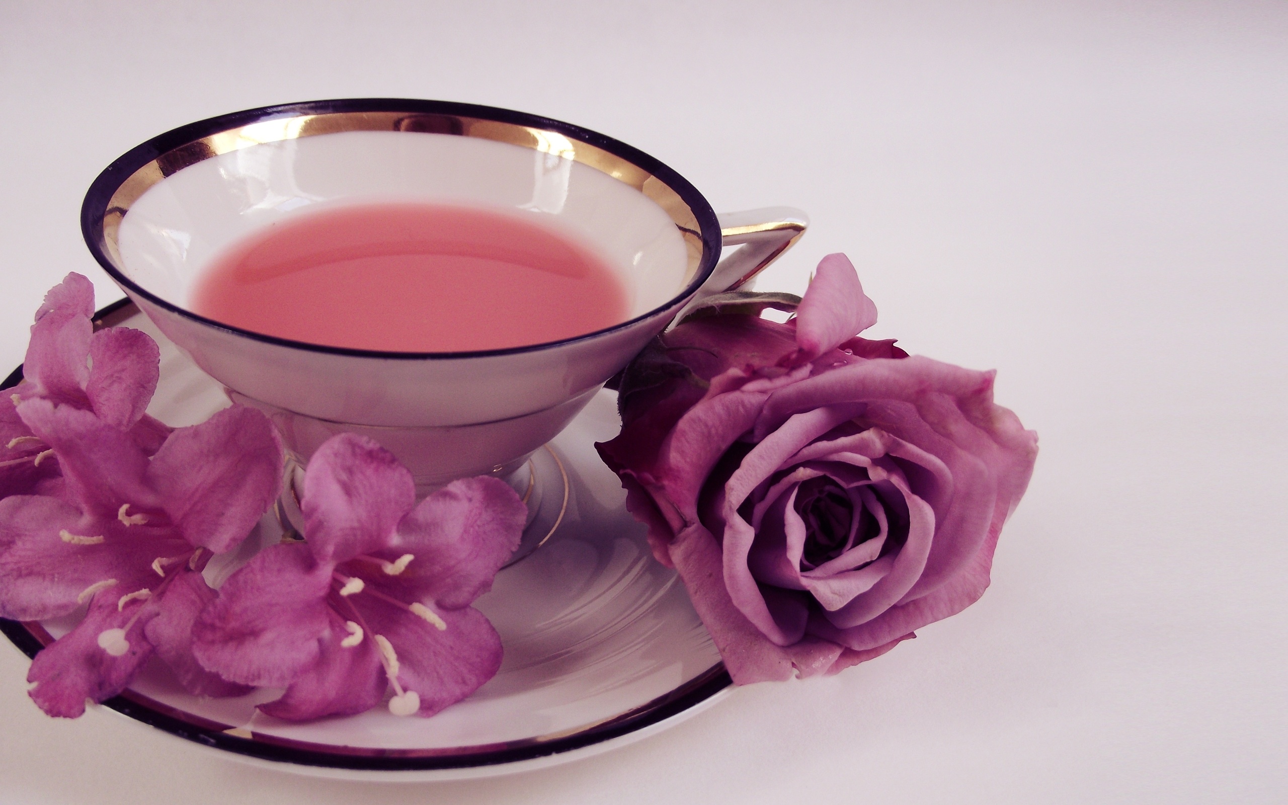 Обои цветы, розы, блюдце, чашка, чай, кепка,  цветы, роз, flowers, roses, saucer, cup, tea, cap разрешение 2560x1600 Загрузить