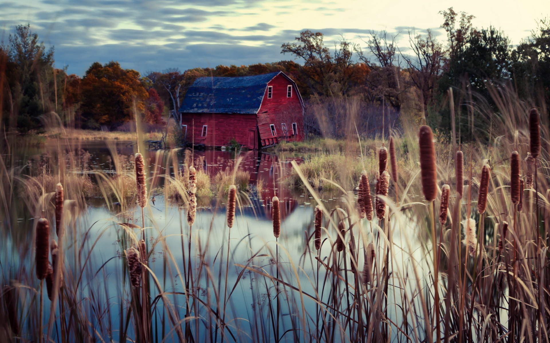 Обои деревья, озеро, осень, дом, камыш, trees, lake, autumn, house, reed разрешение 1920x1200 Загрузить