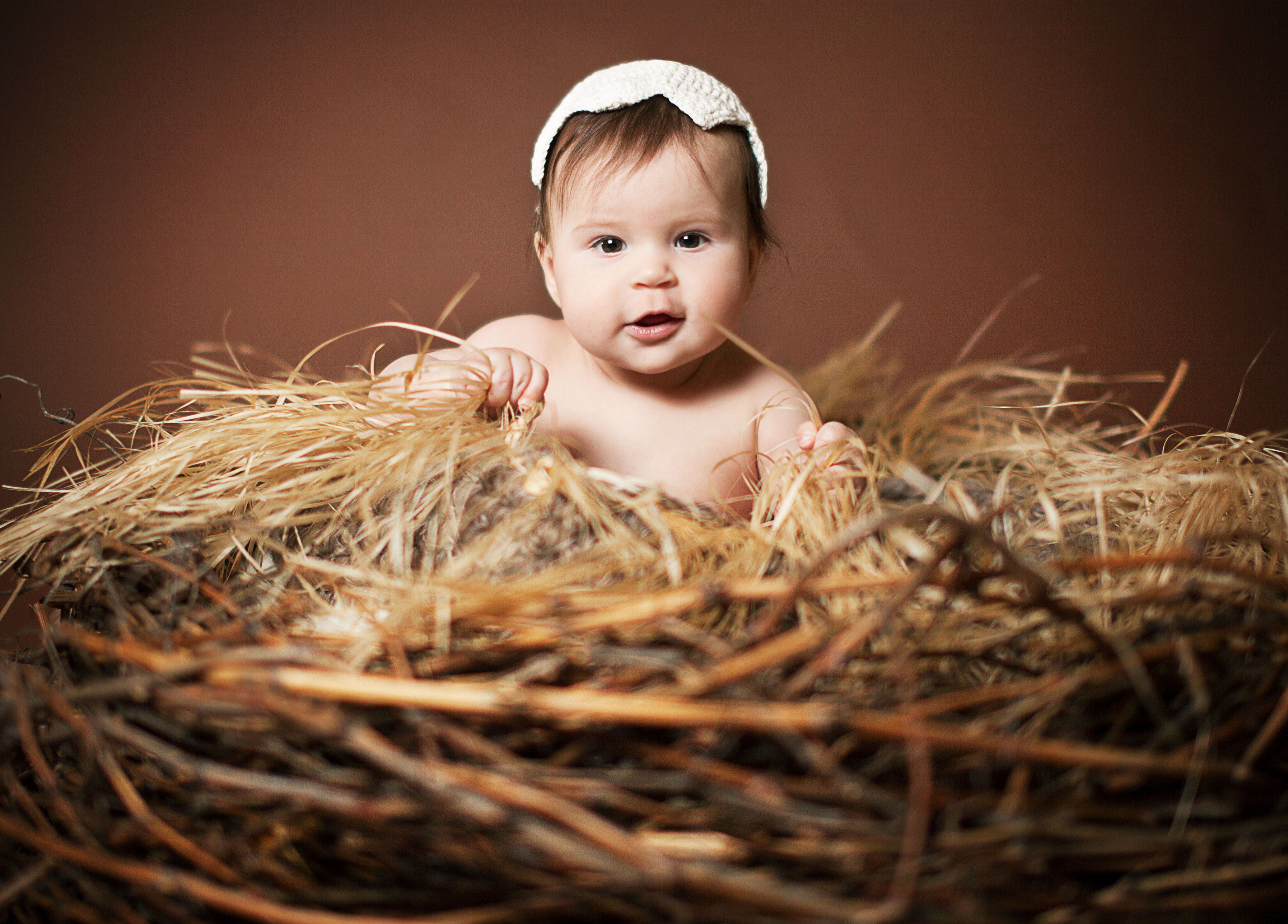 В сене на 1 голову. Ребенок. Новорожденный на сене. Гнездо для младенца. Фотосессия малыша на сене.